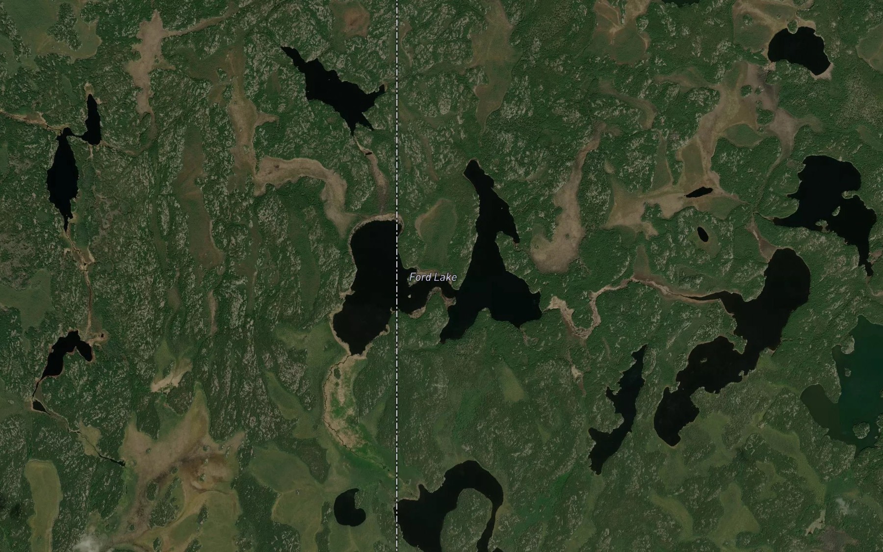 Satellite map of the Ford Lake