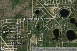 Flamingo Lake