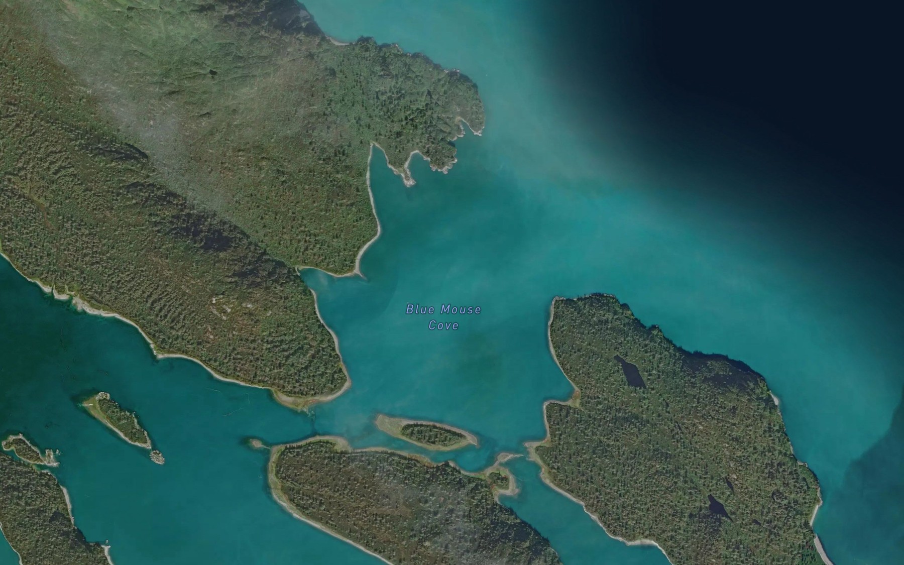 Satellite map of the Blue Mouse Cove