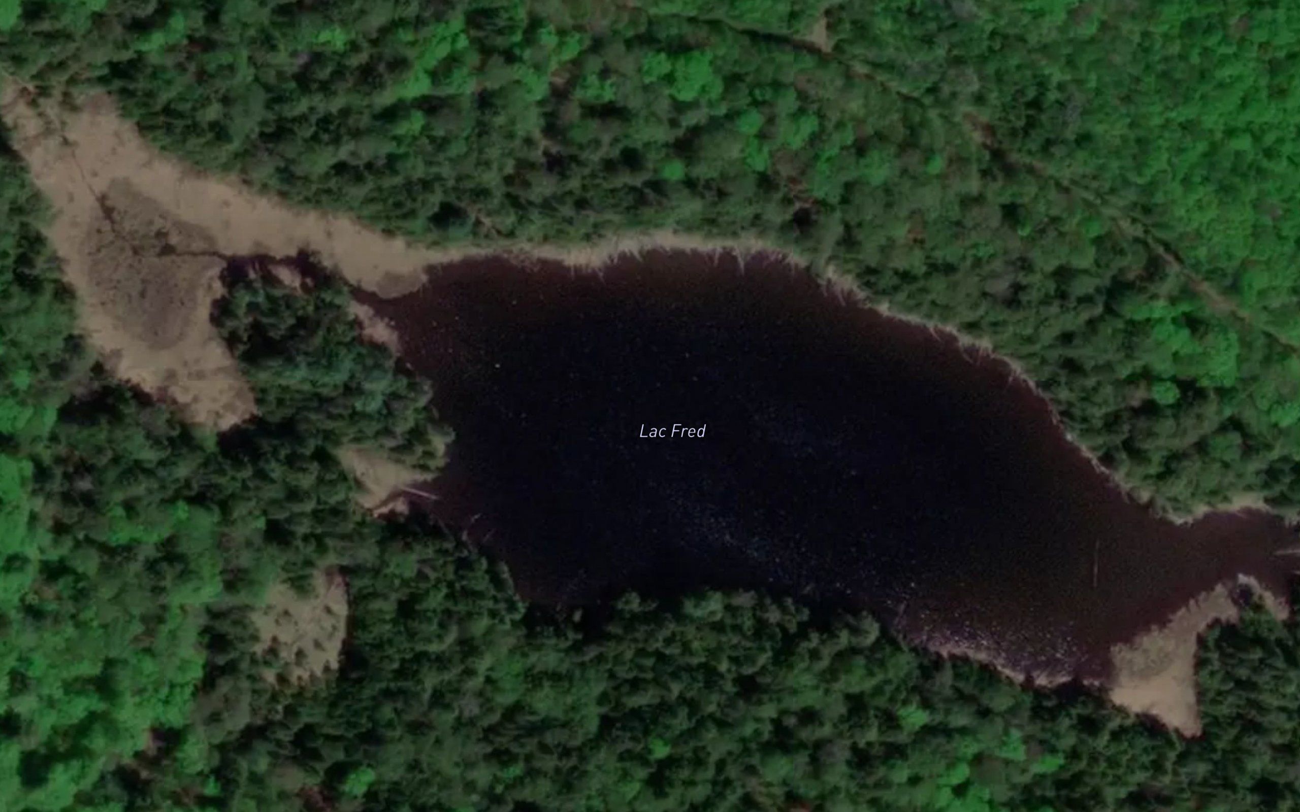 Lac Fred