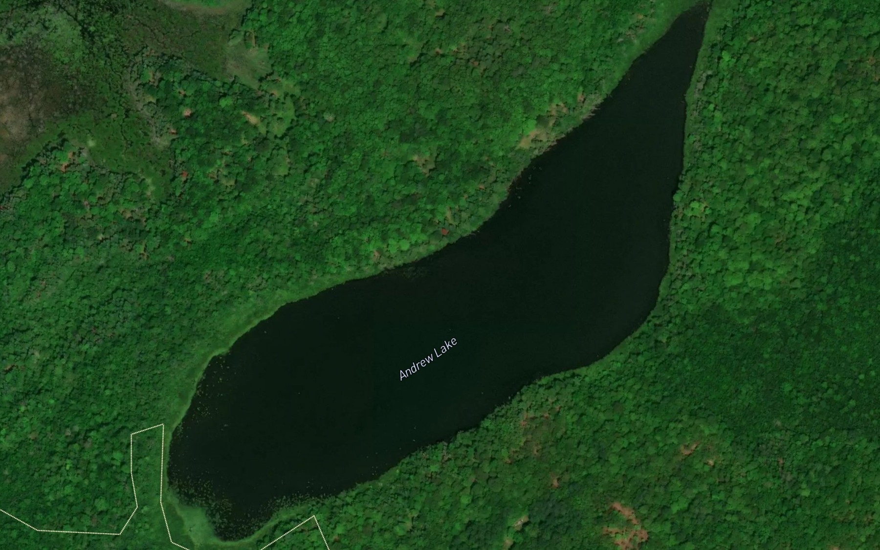 Satellite map of the Andrew Lake