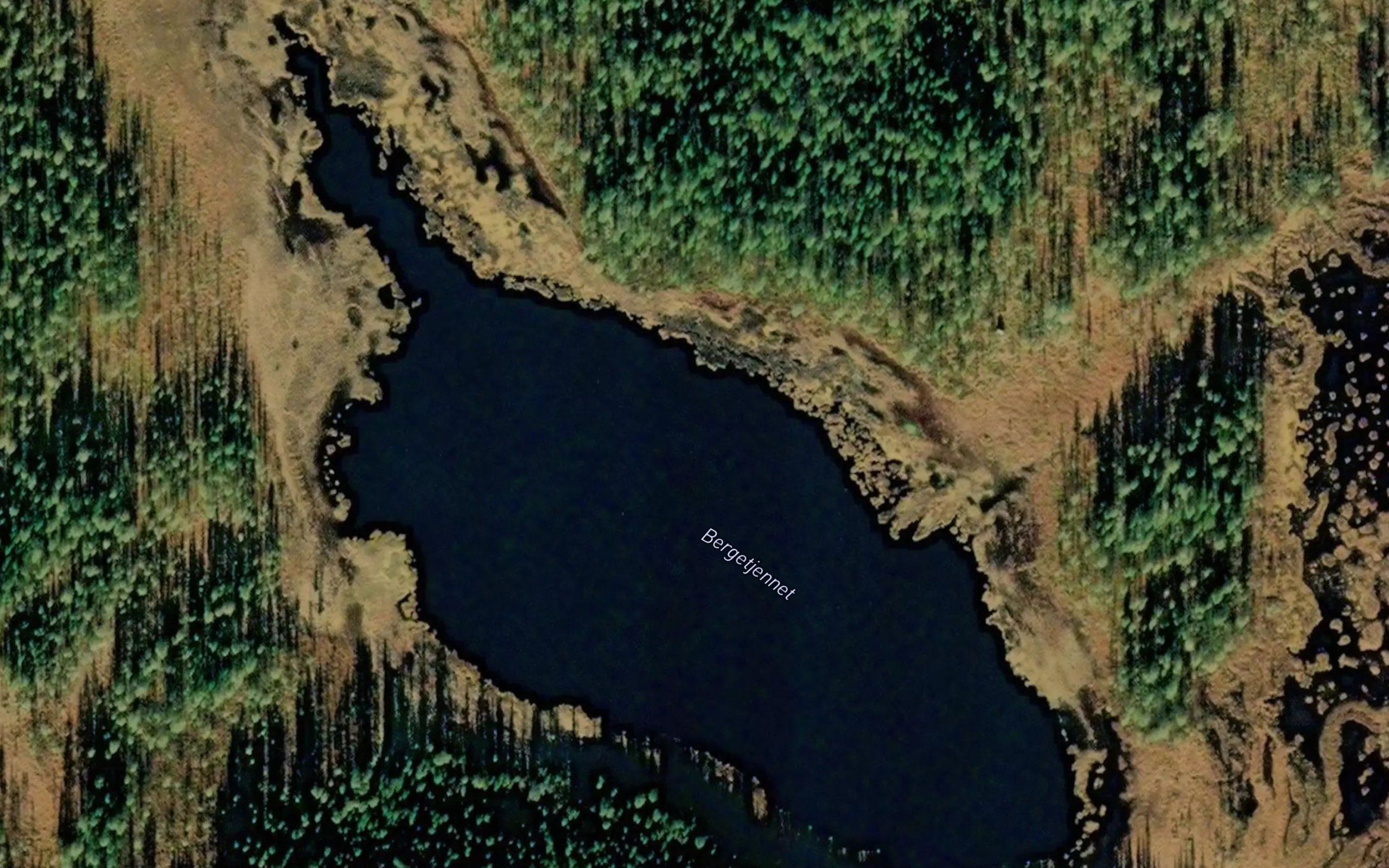 Bergetjernet