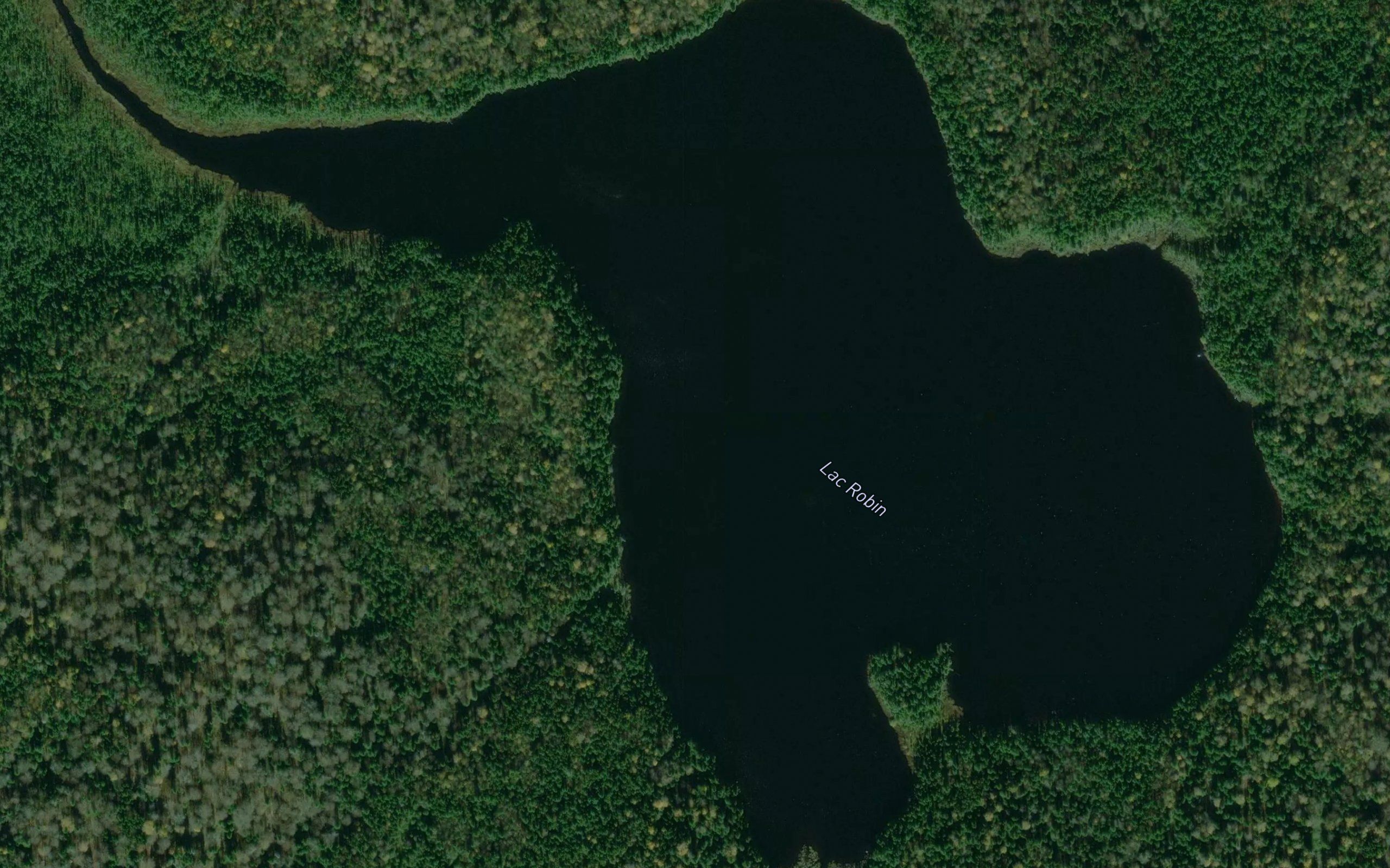 Lac Robin