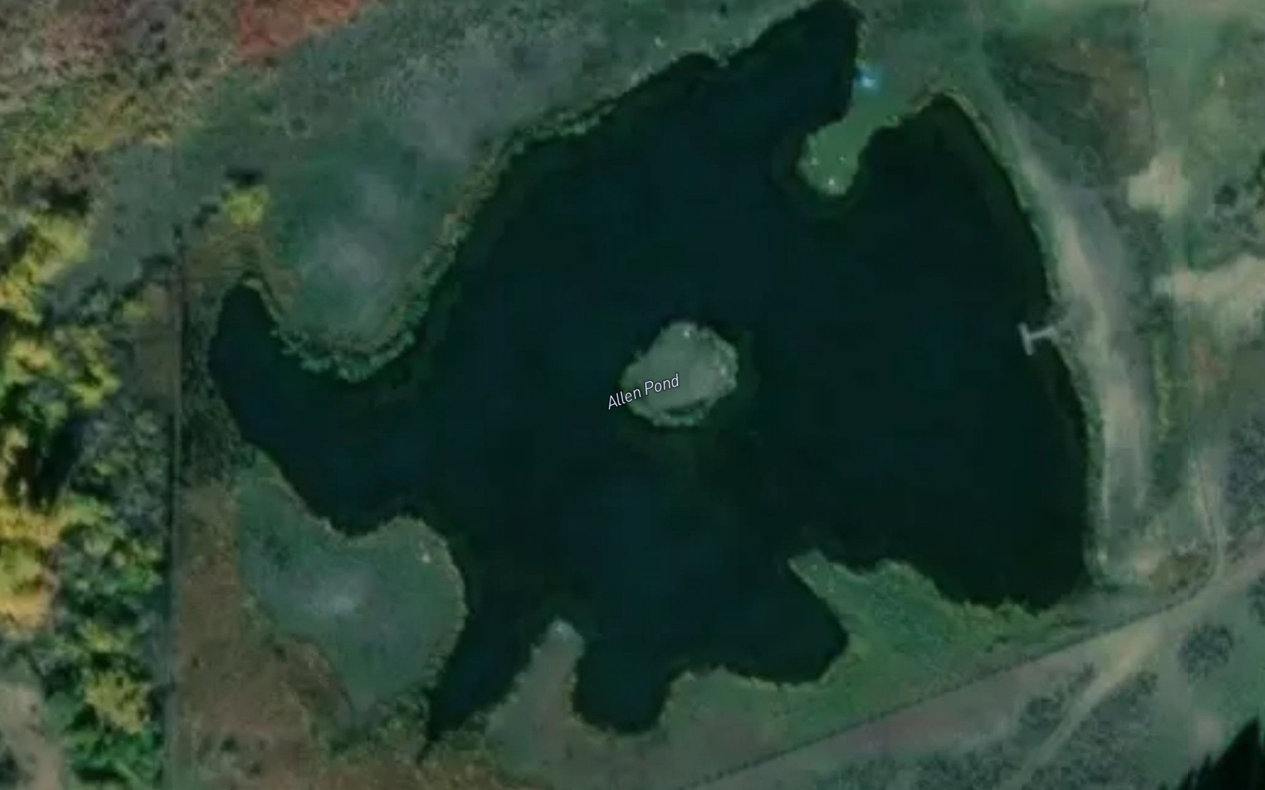 Allen Pond