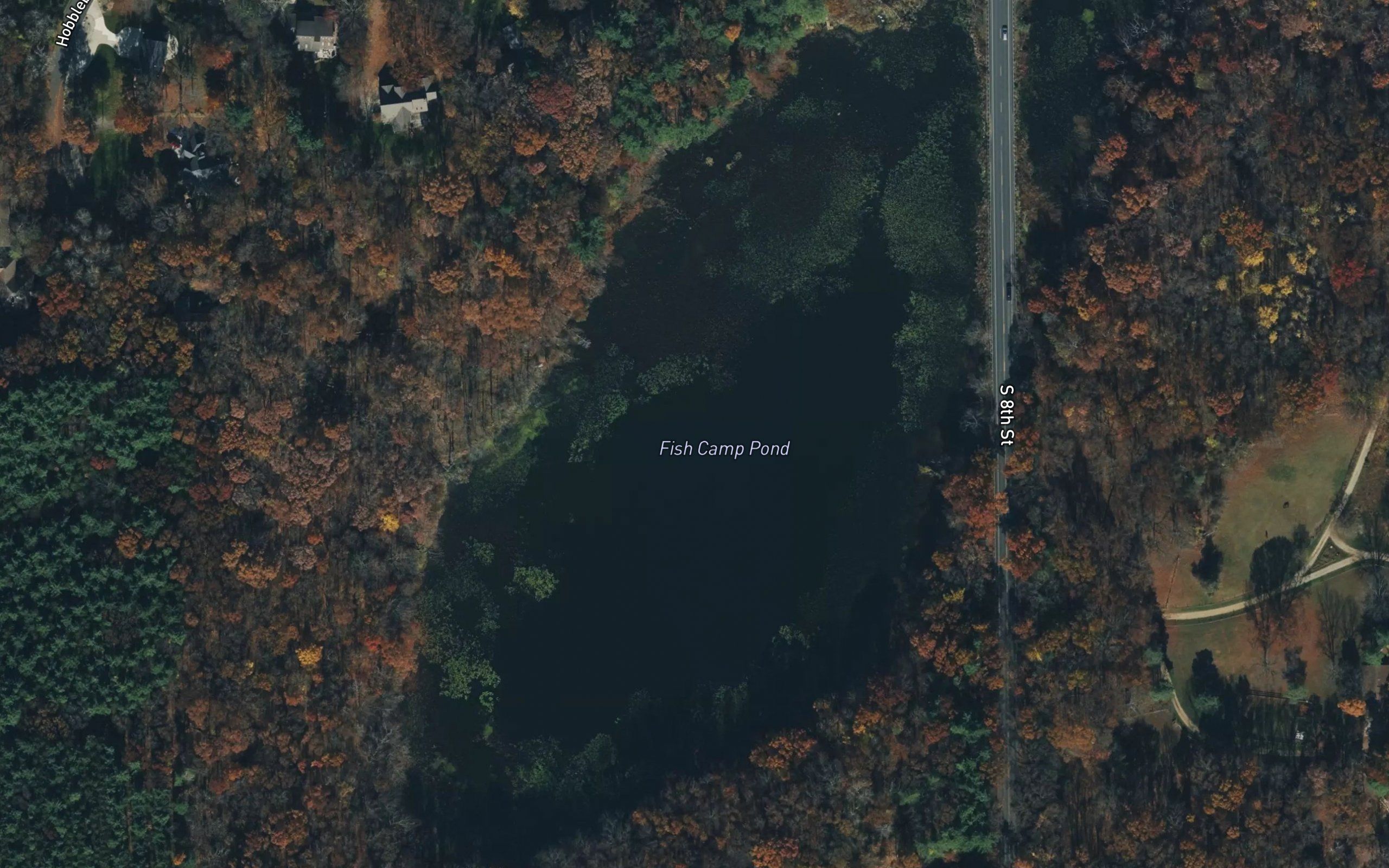 Fish Camp Pond