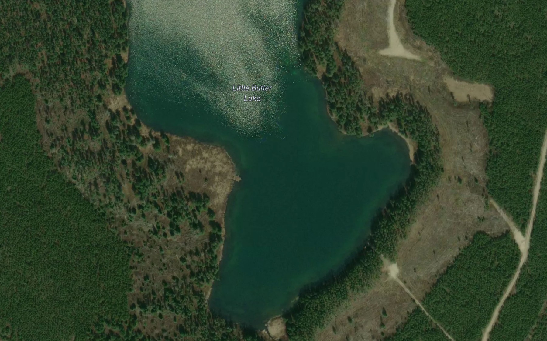 Satellite map of the Little Butler Lake