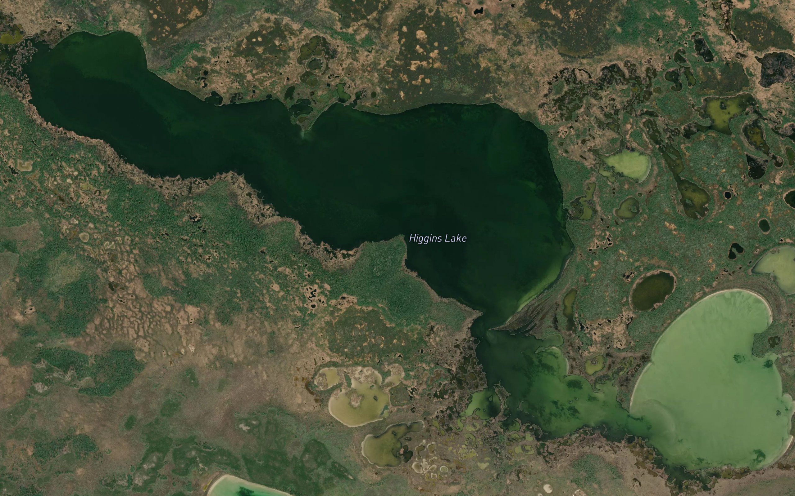 Higgins Lake
