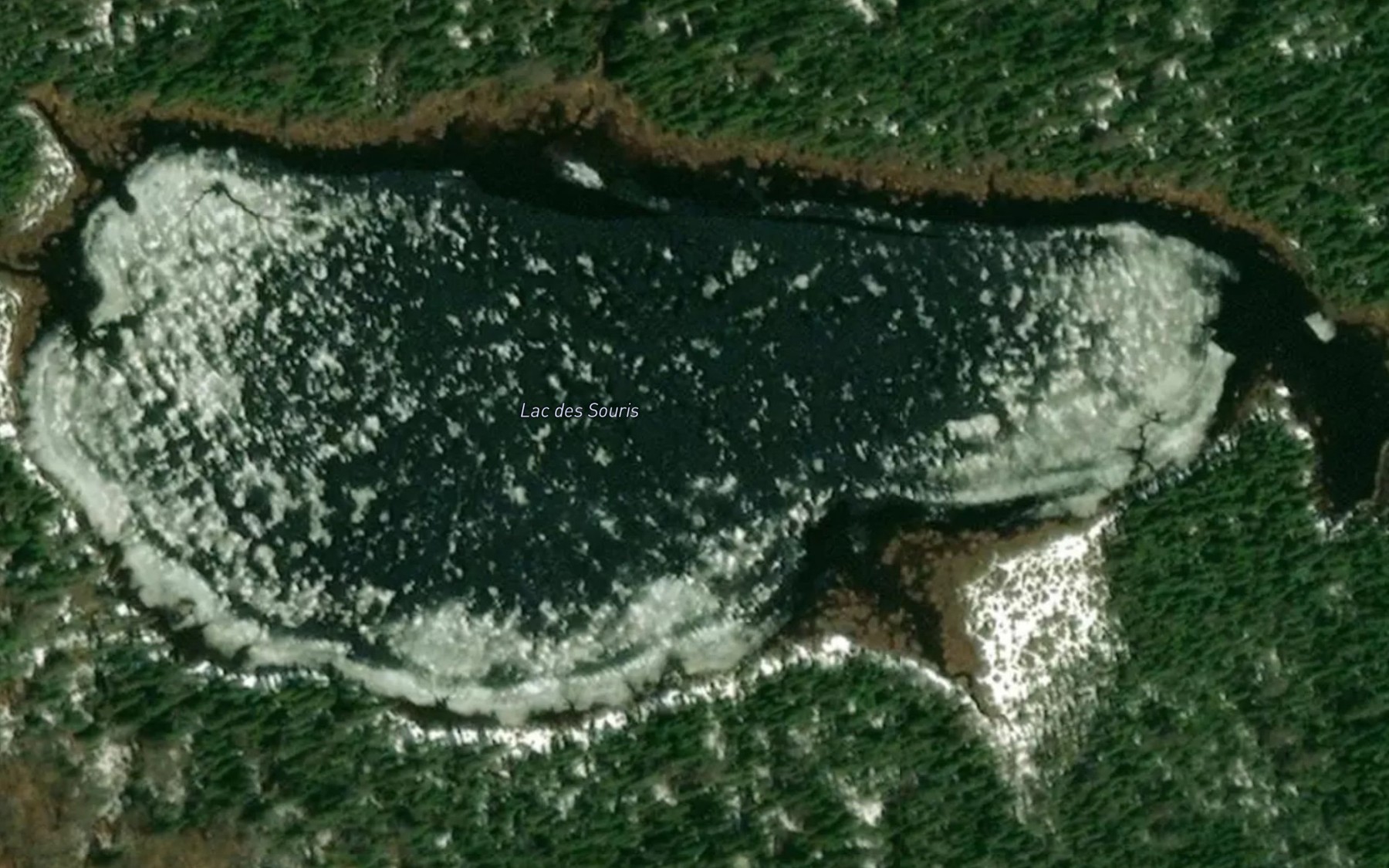 Satellite map of the Lac des Souris