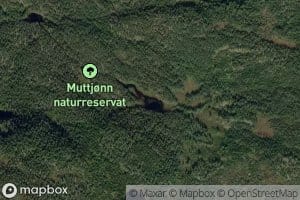 Muttjorn,ovre