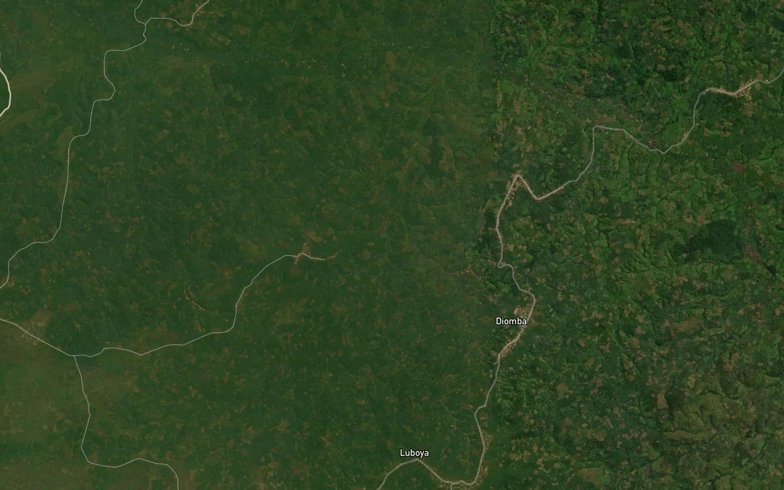 Buasi