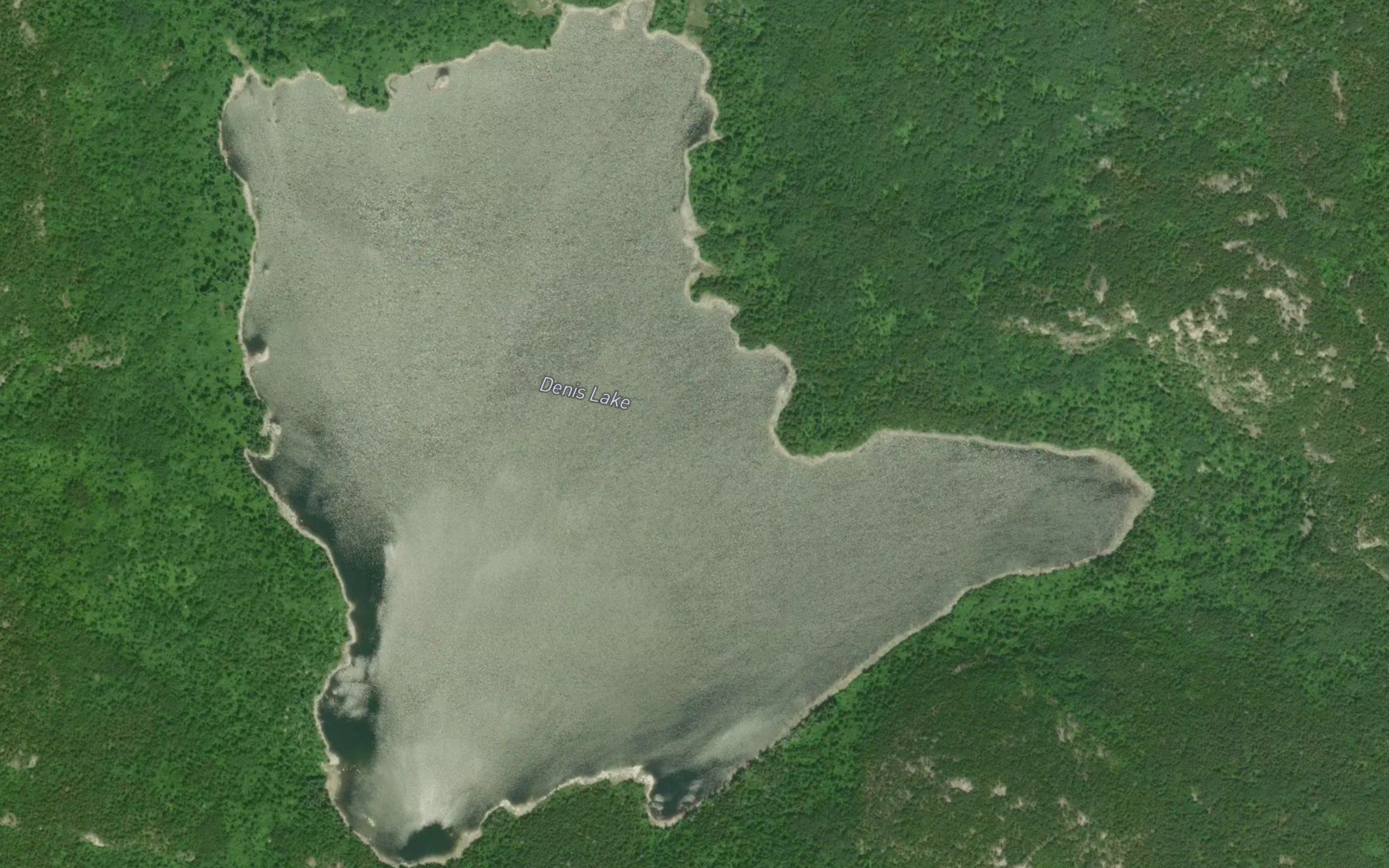Denis Lake