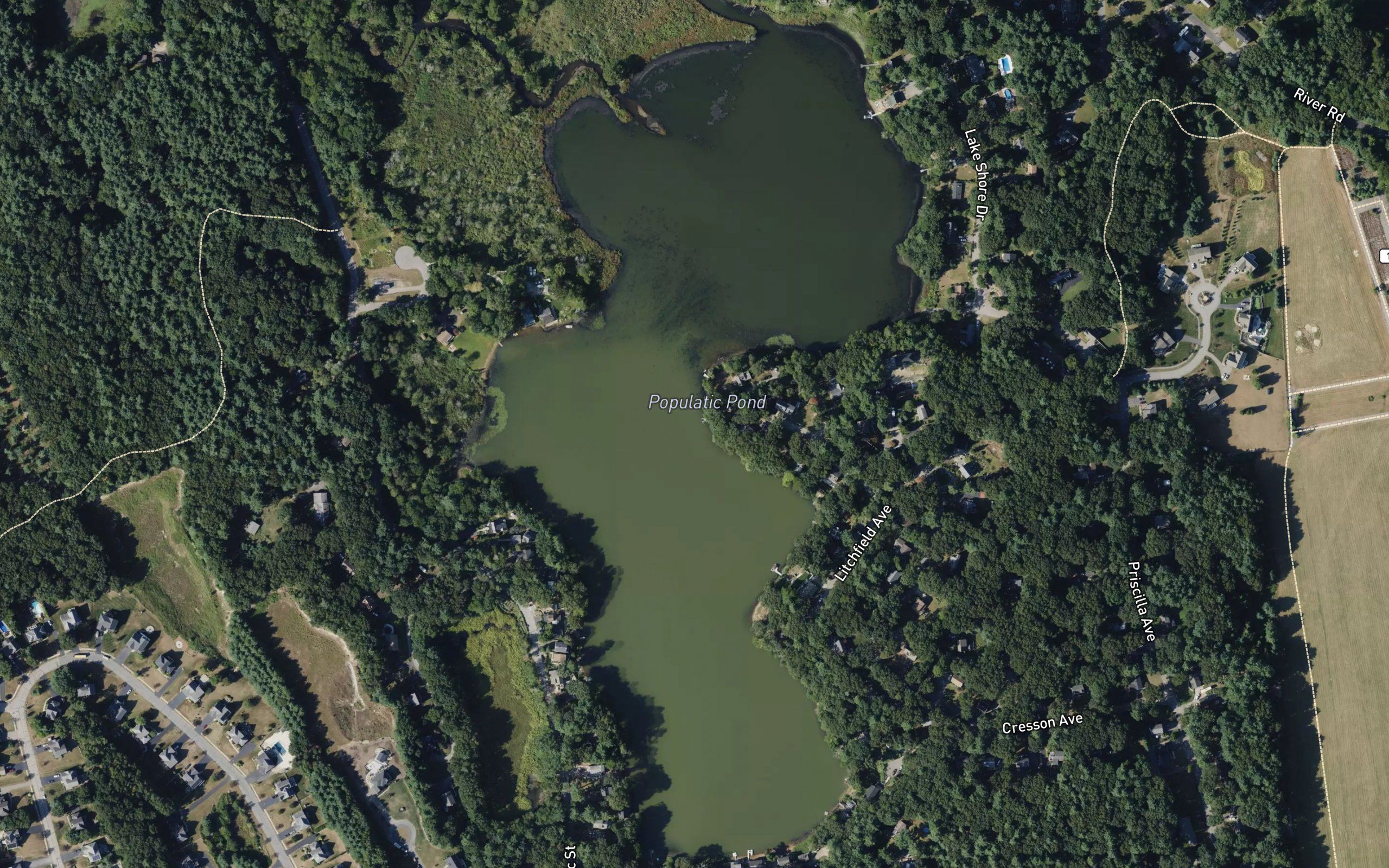 Populatic Pond