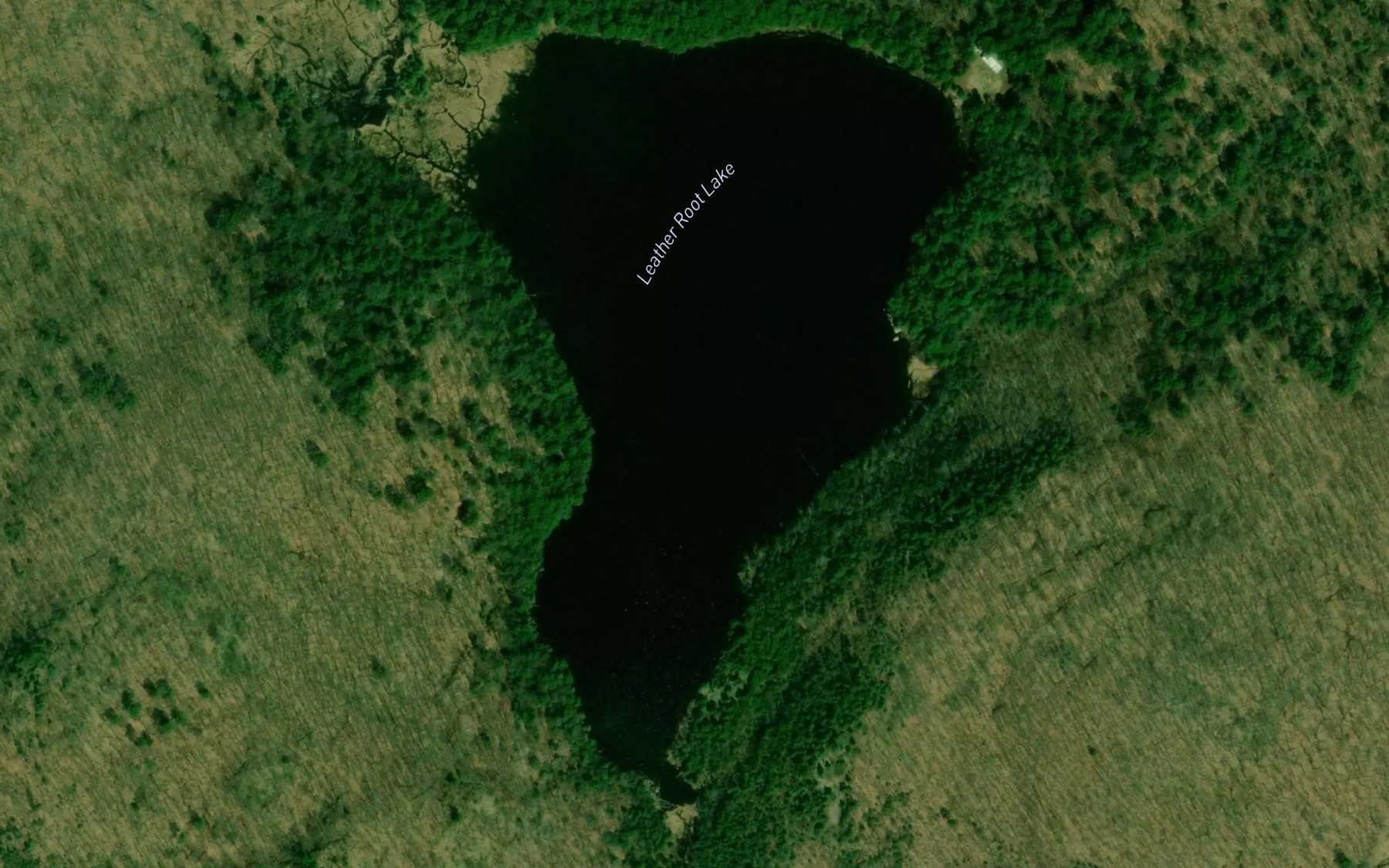 Satellite map of the Leather Root Lake