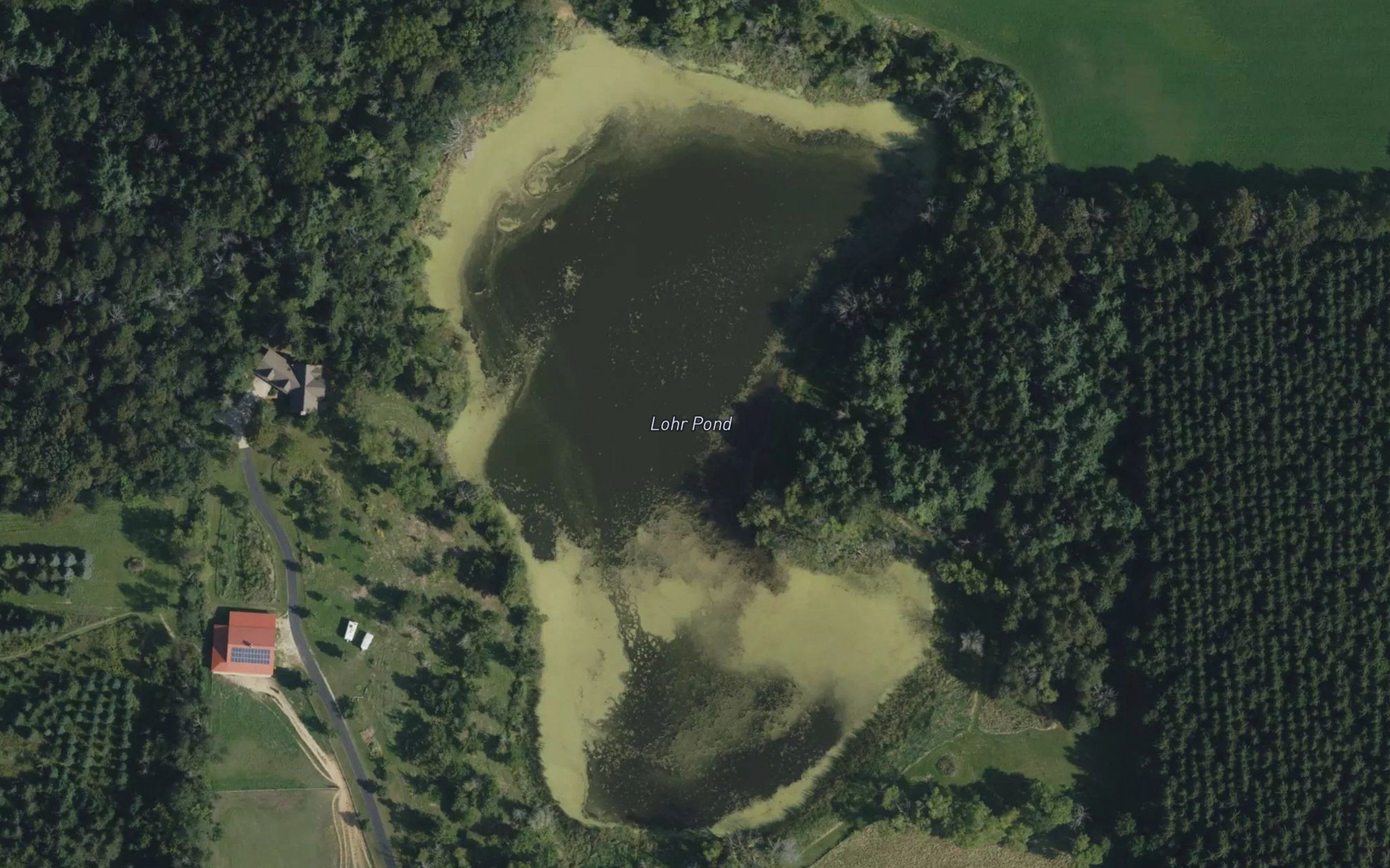 Lohr Pond