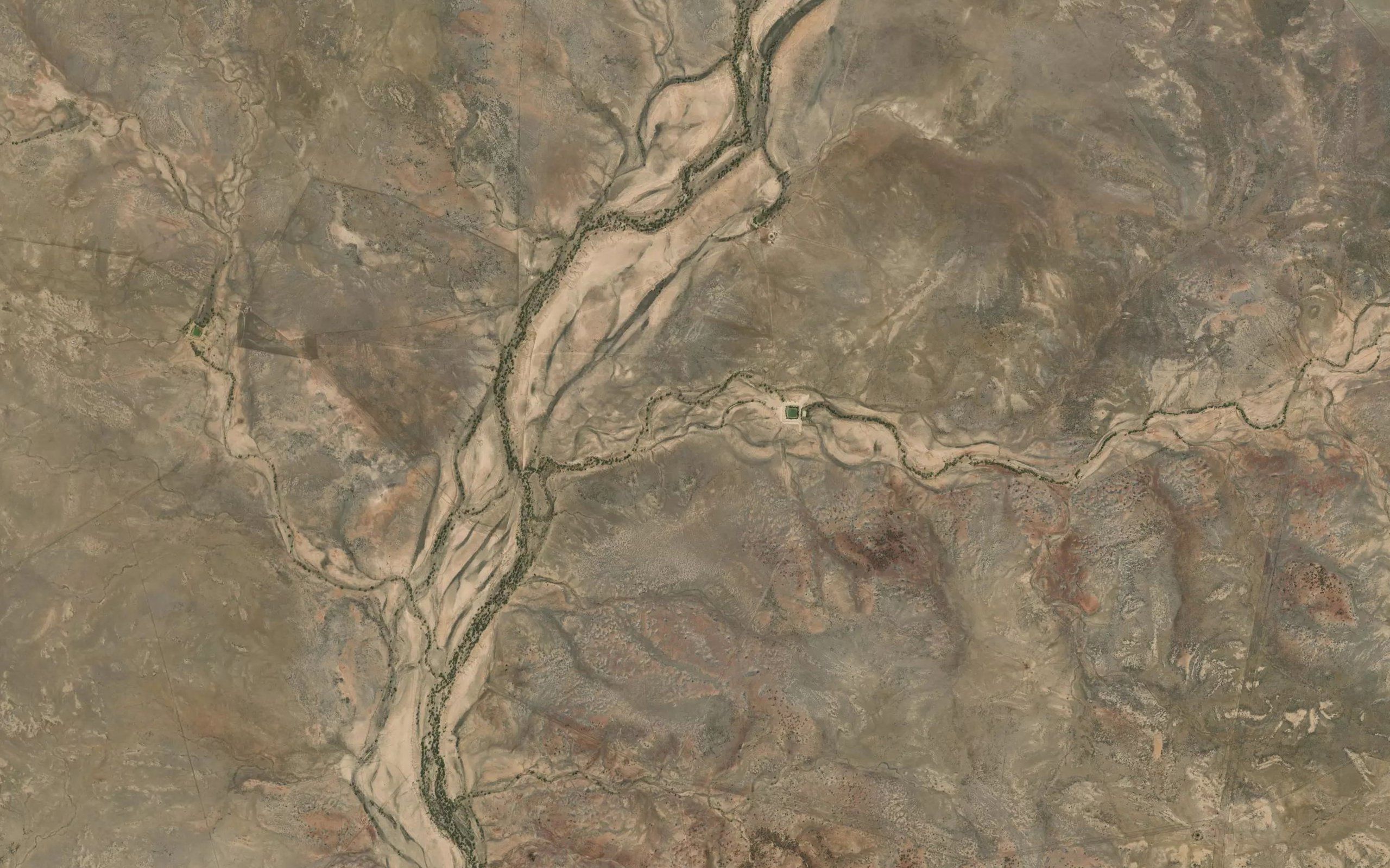 Cattle Creek
