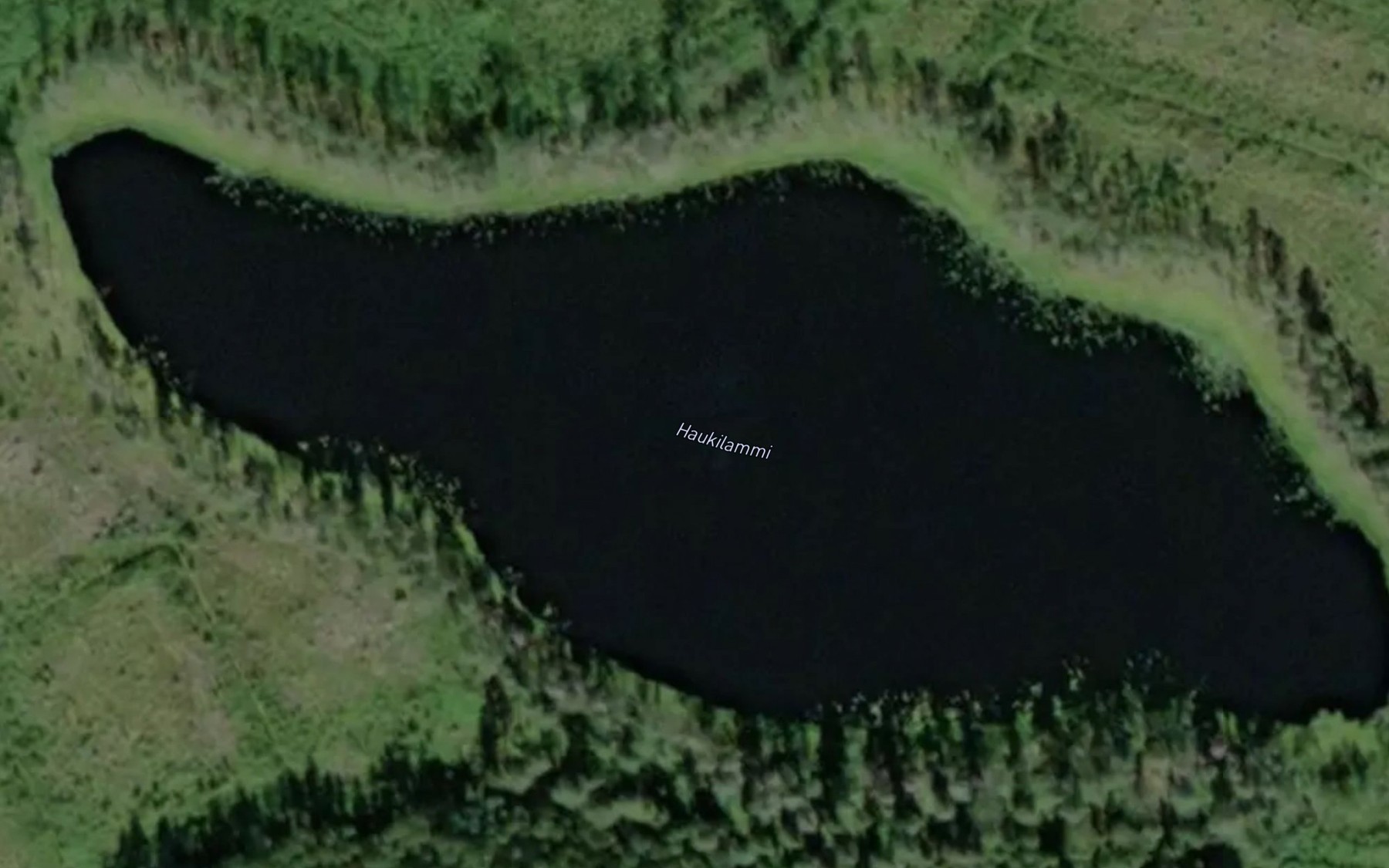 Satellite map of the Haukilammi
