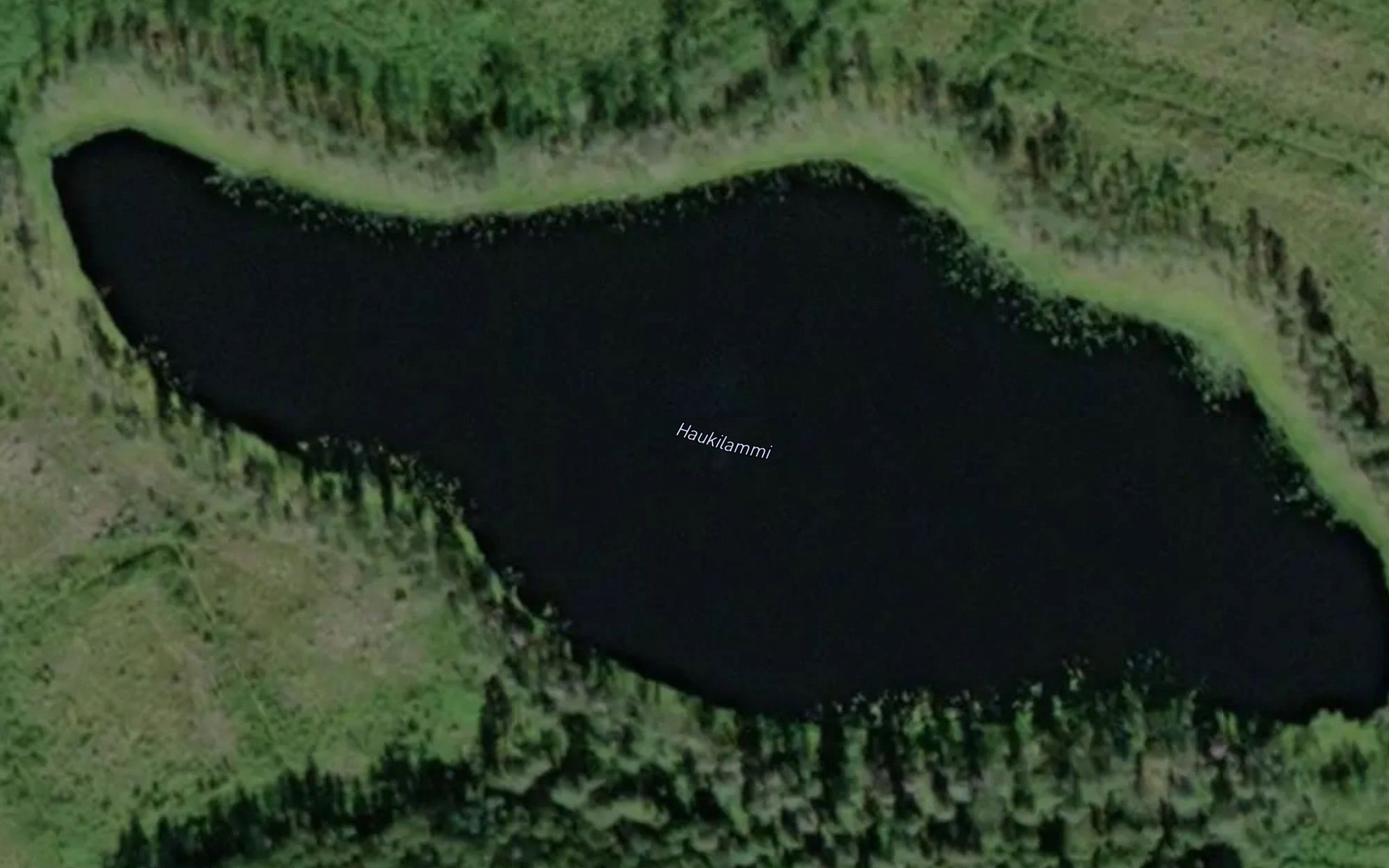 Haukilammi