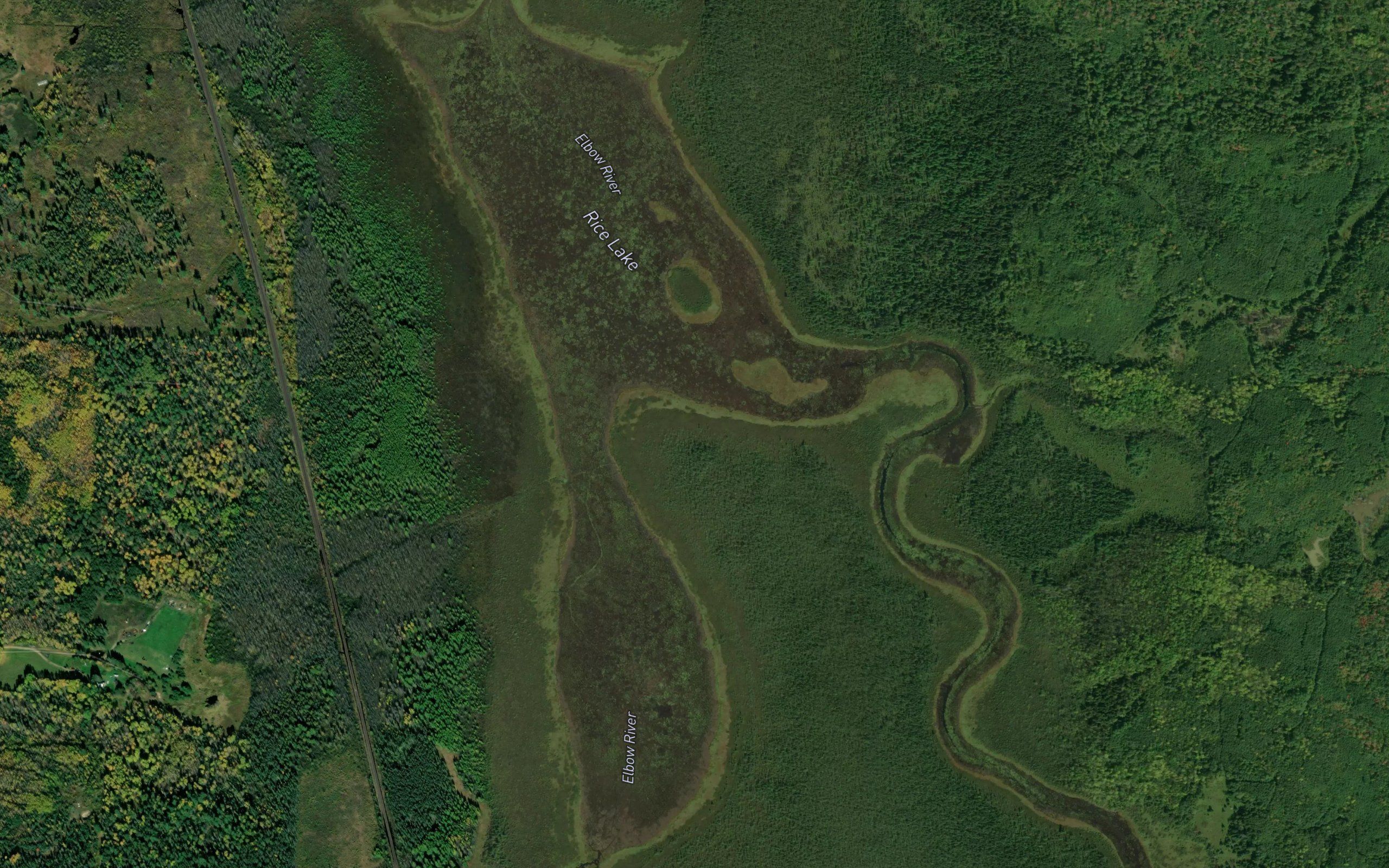 Rice Lake