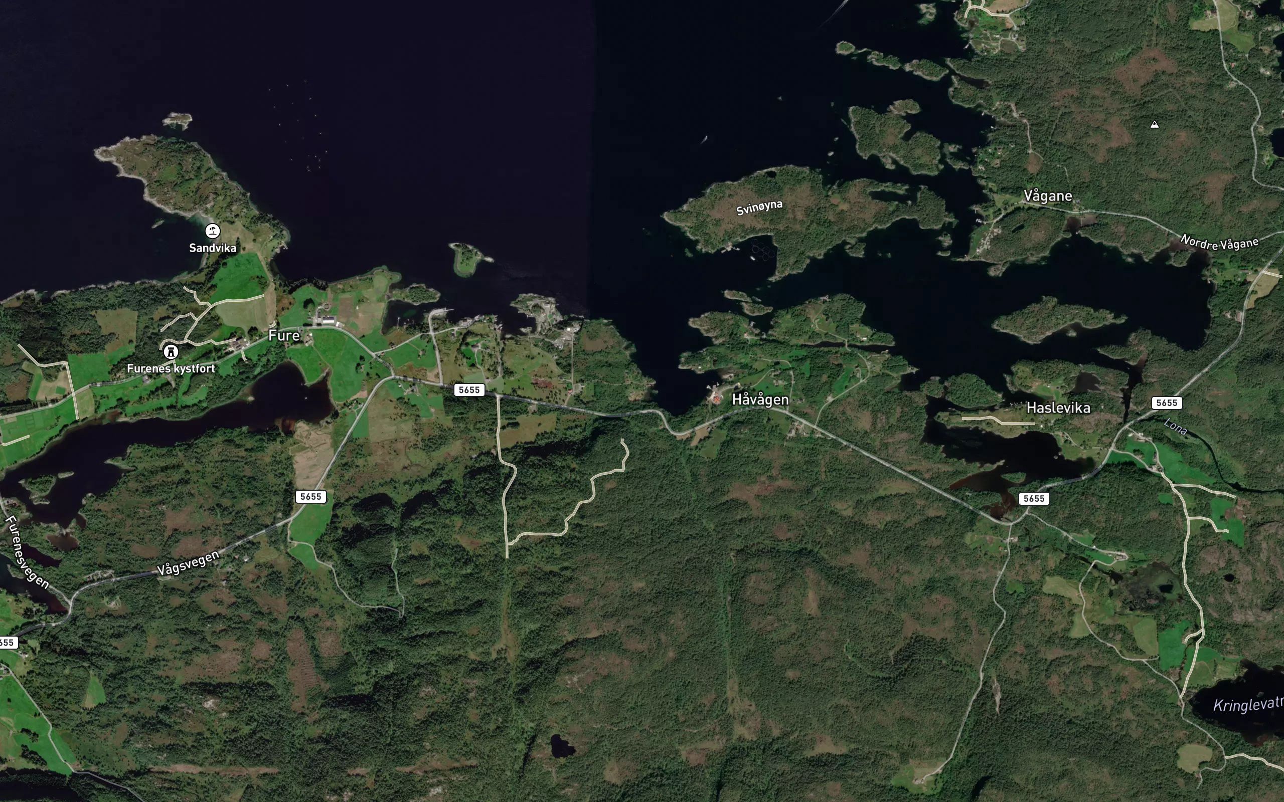 Svinevika