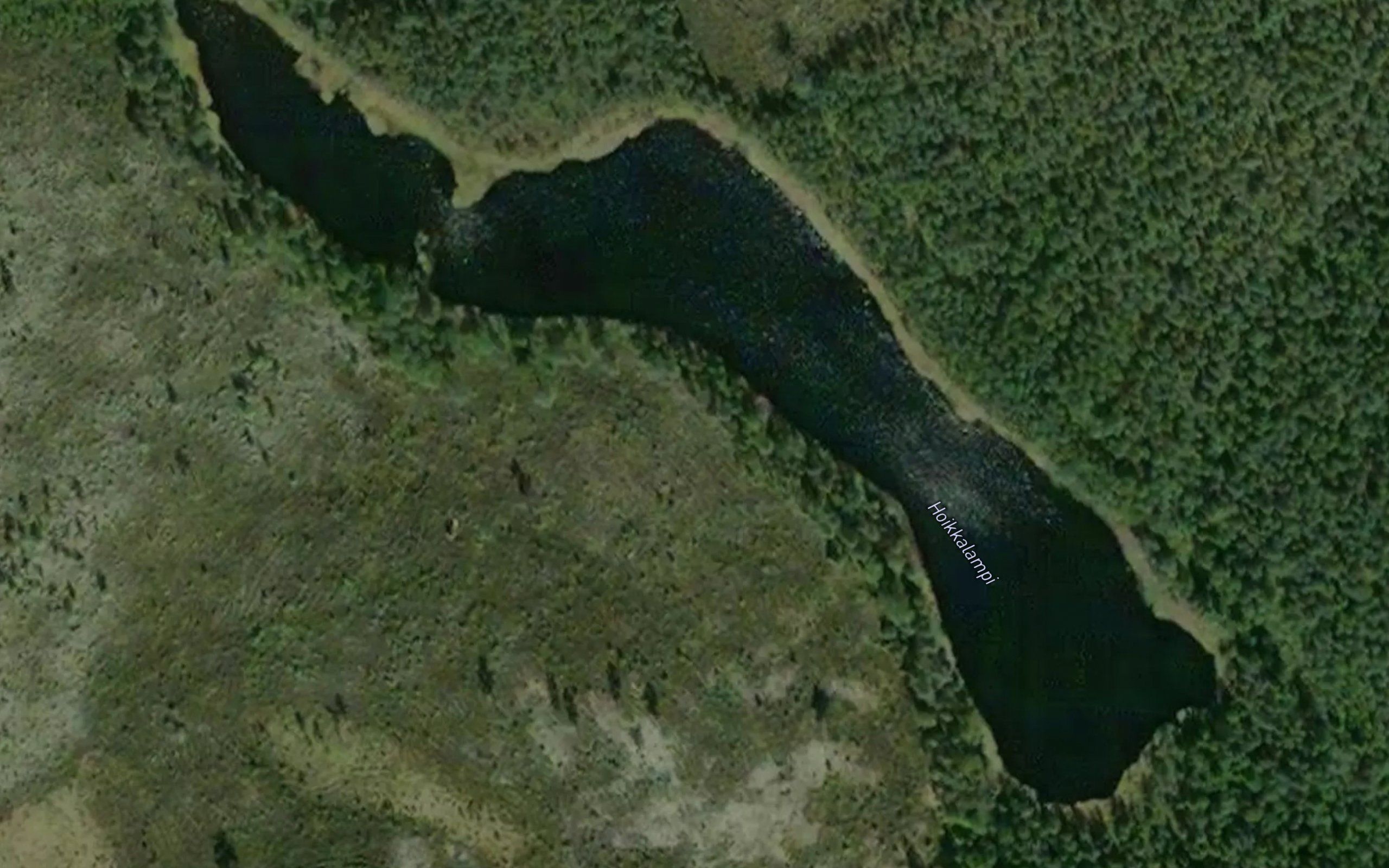 Hoikkalampi