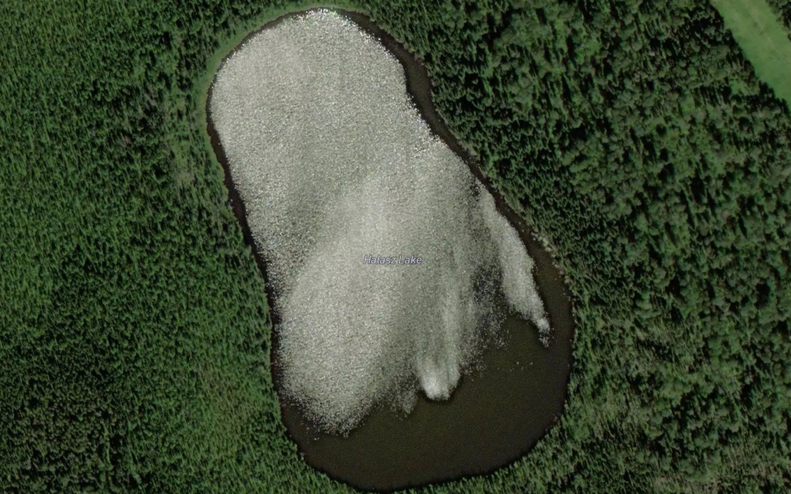 Halasz Lake