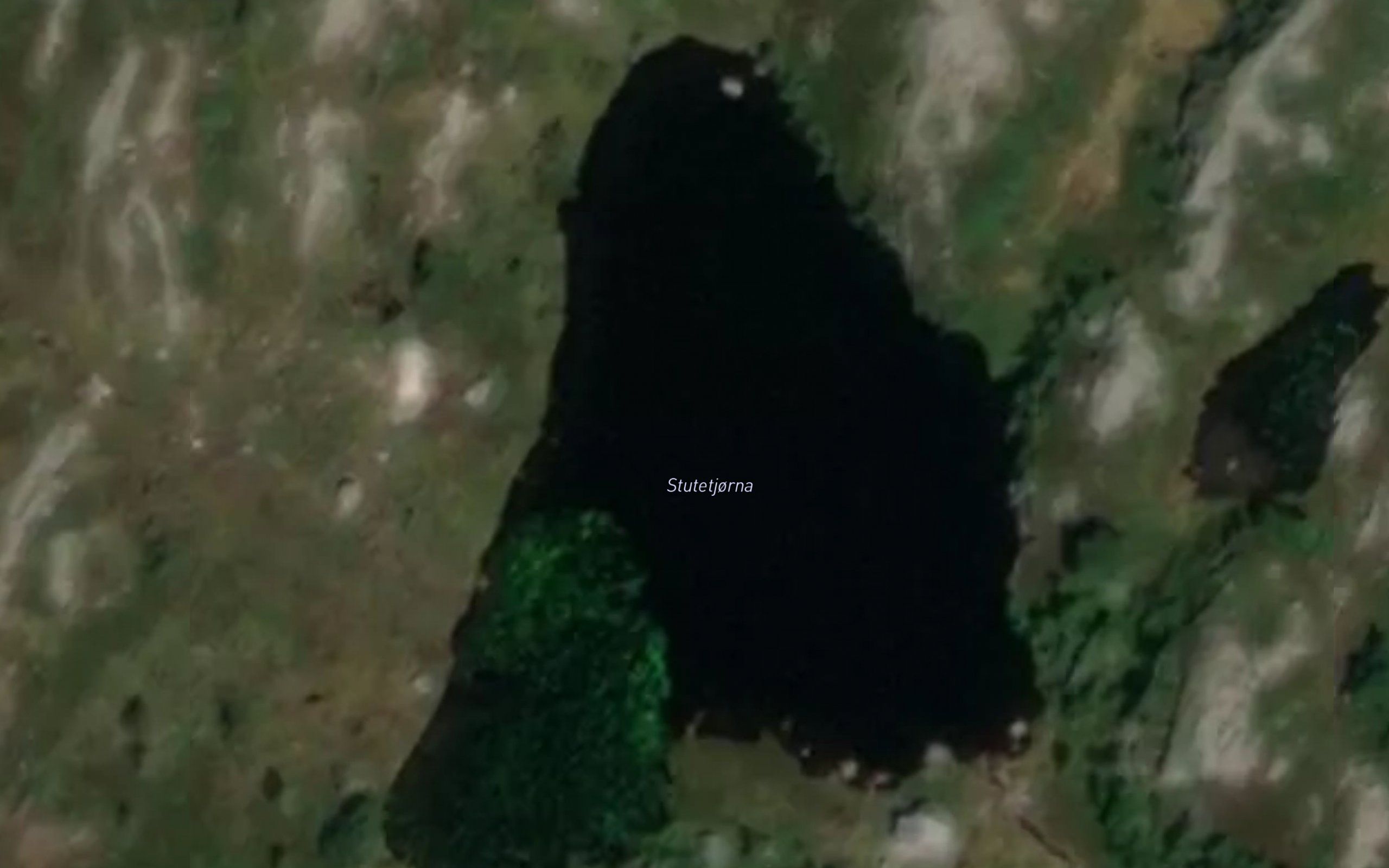 Stutetjorna