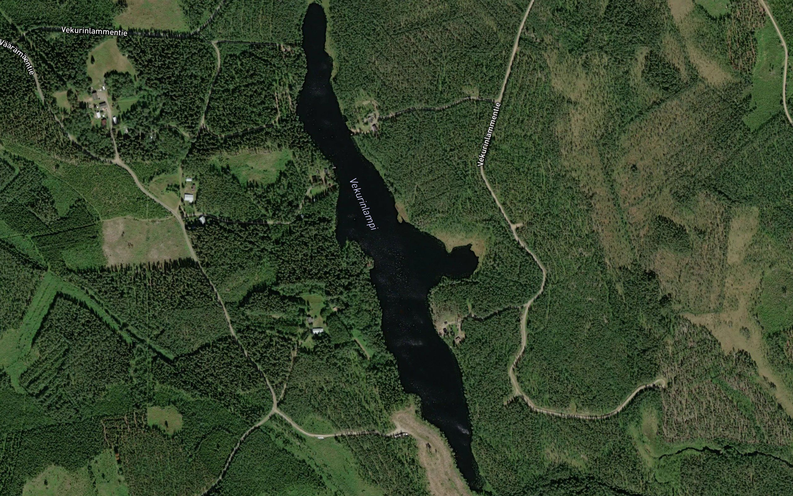 Vekurinlampi