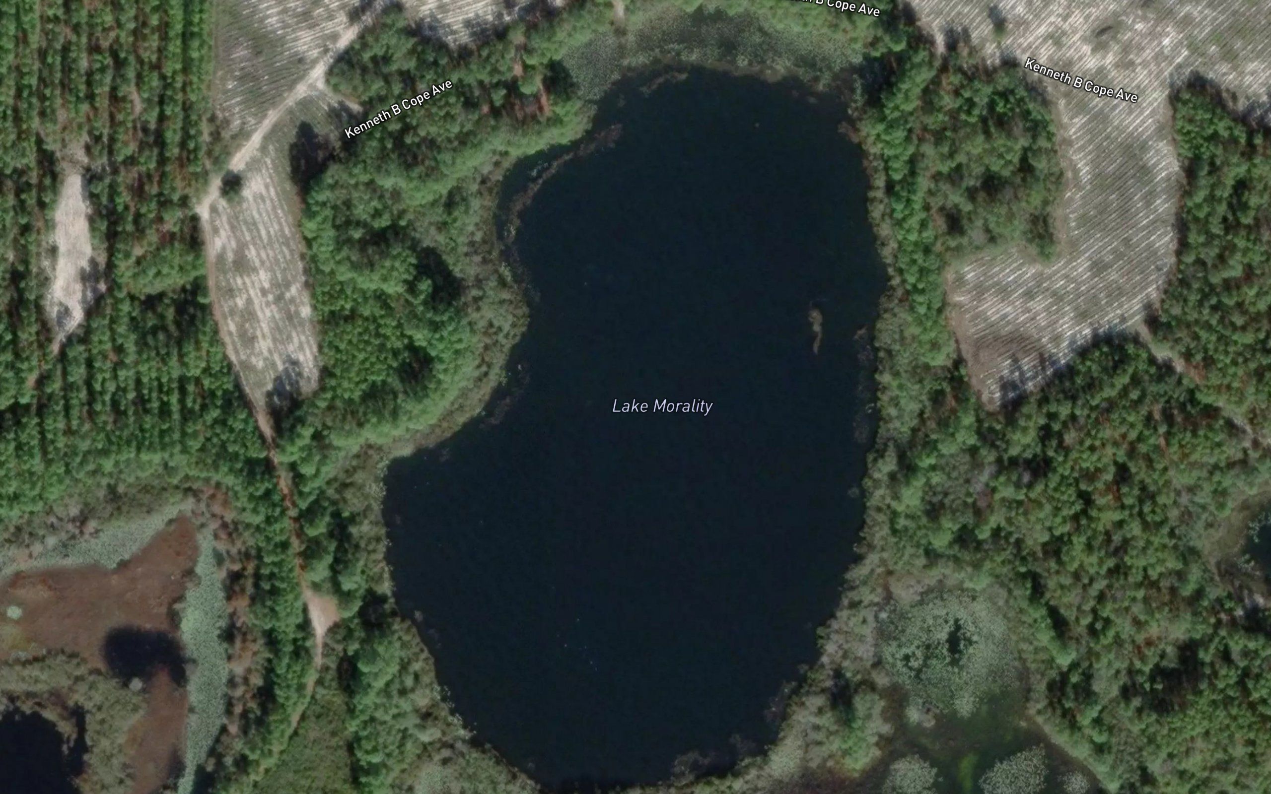 Lake Morality