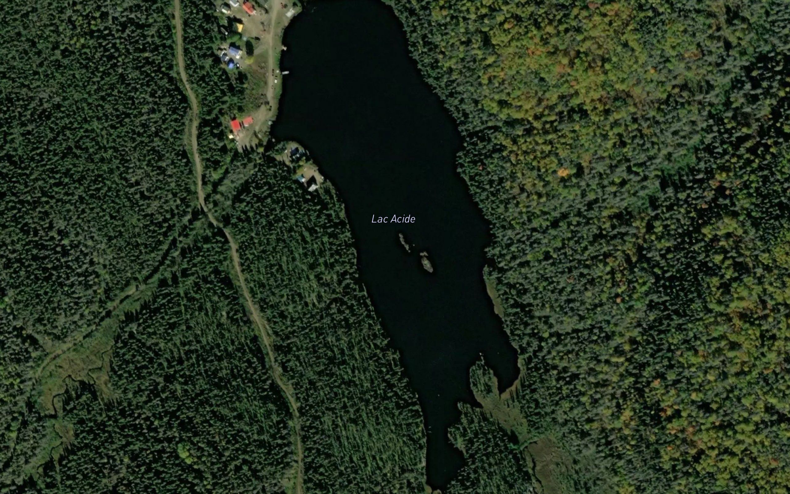 Lac Acide