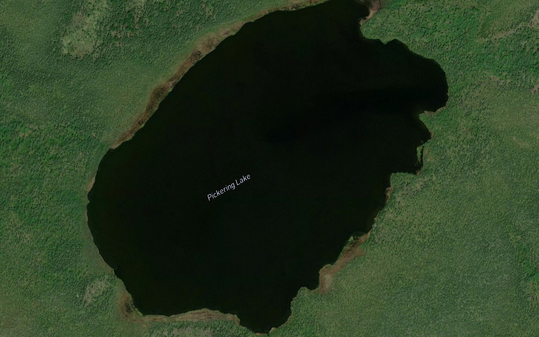 Satellite map of the Pickering Lake