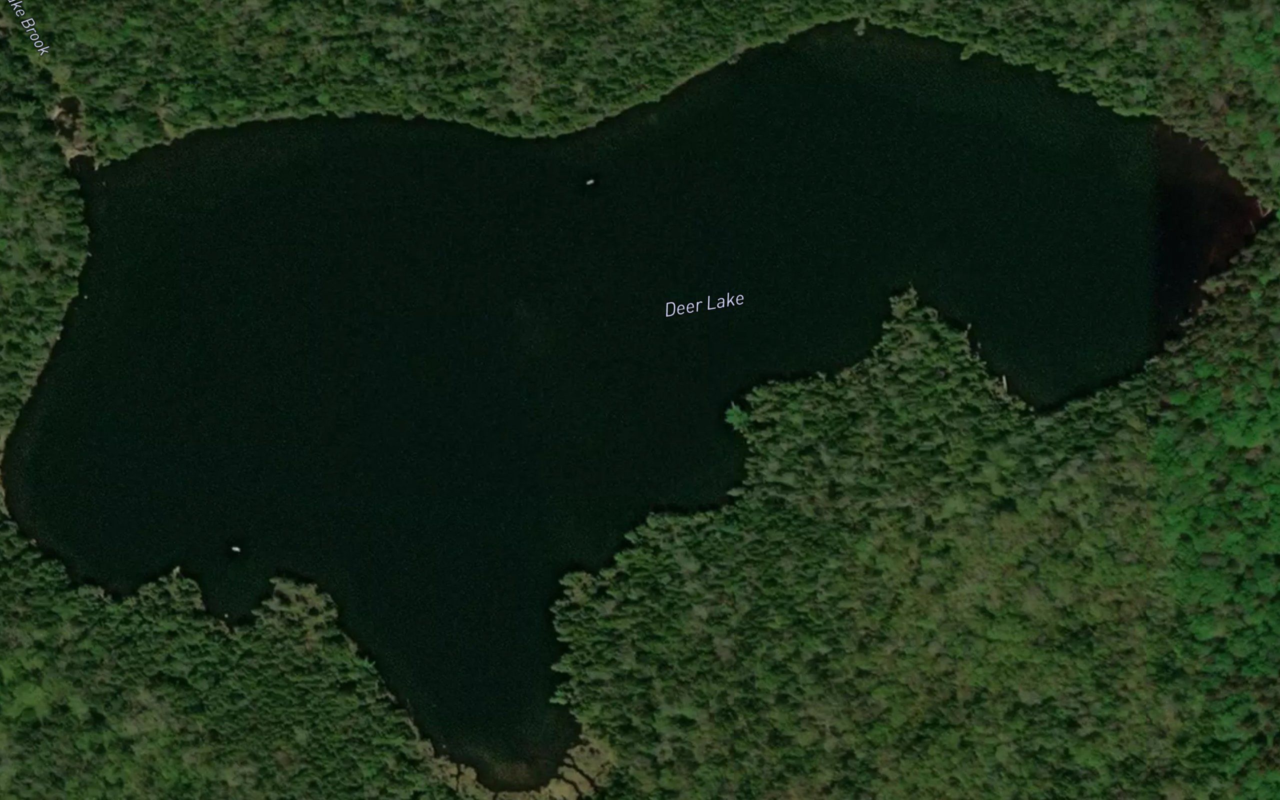 Deer Lake