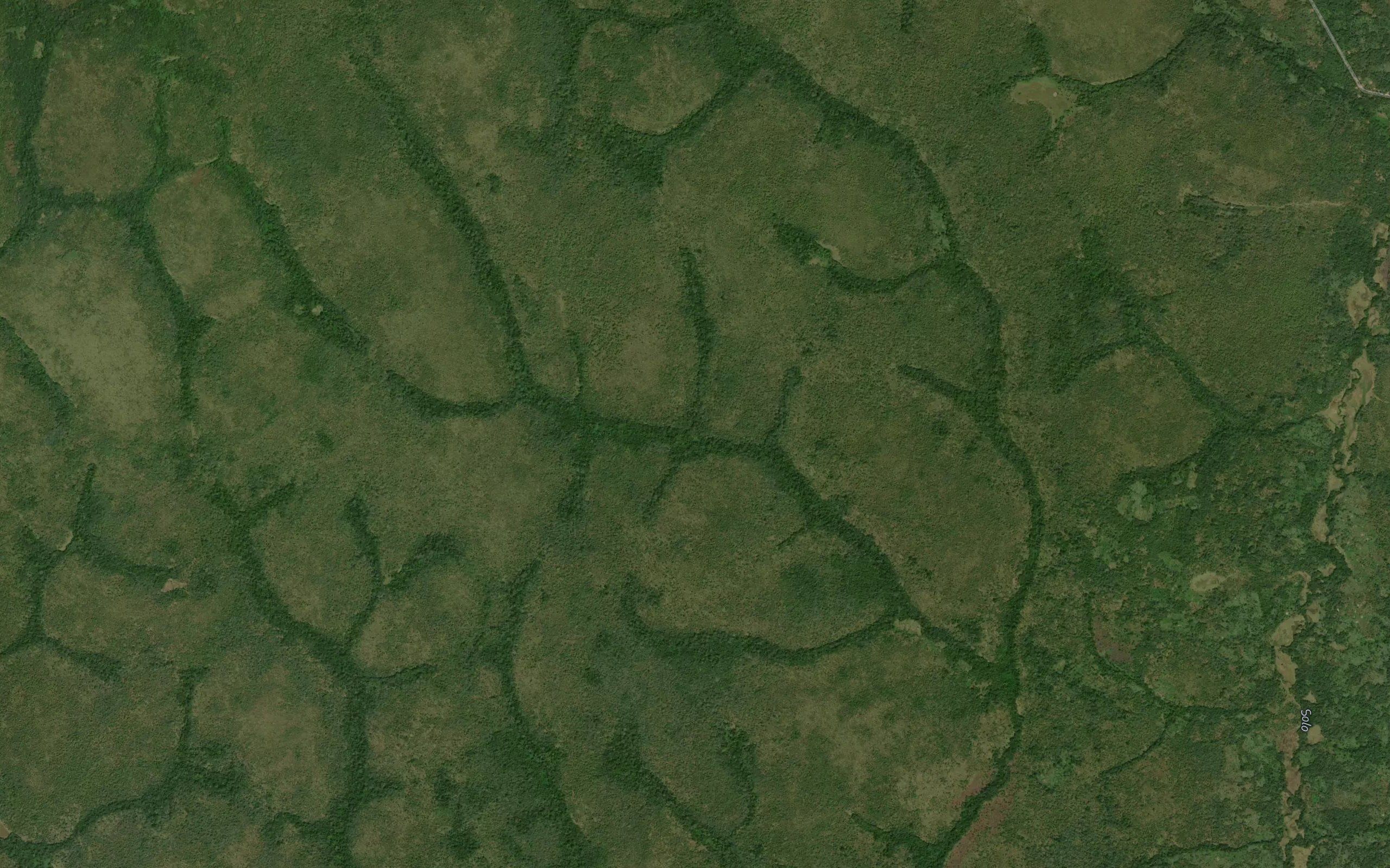 Nabogu