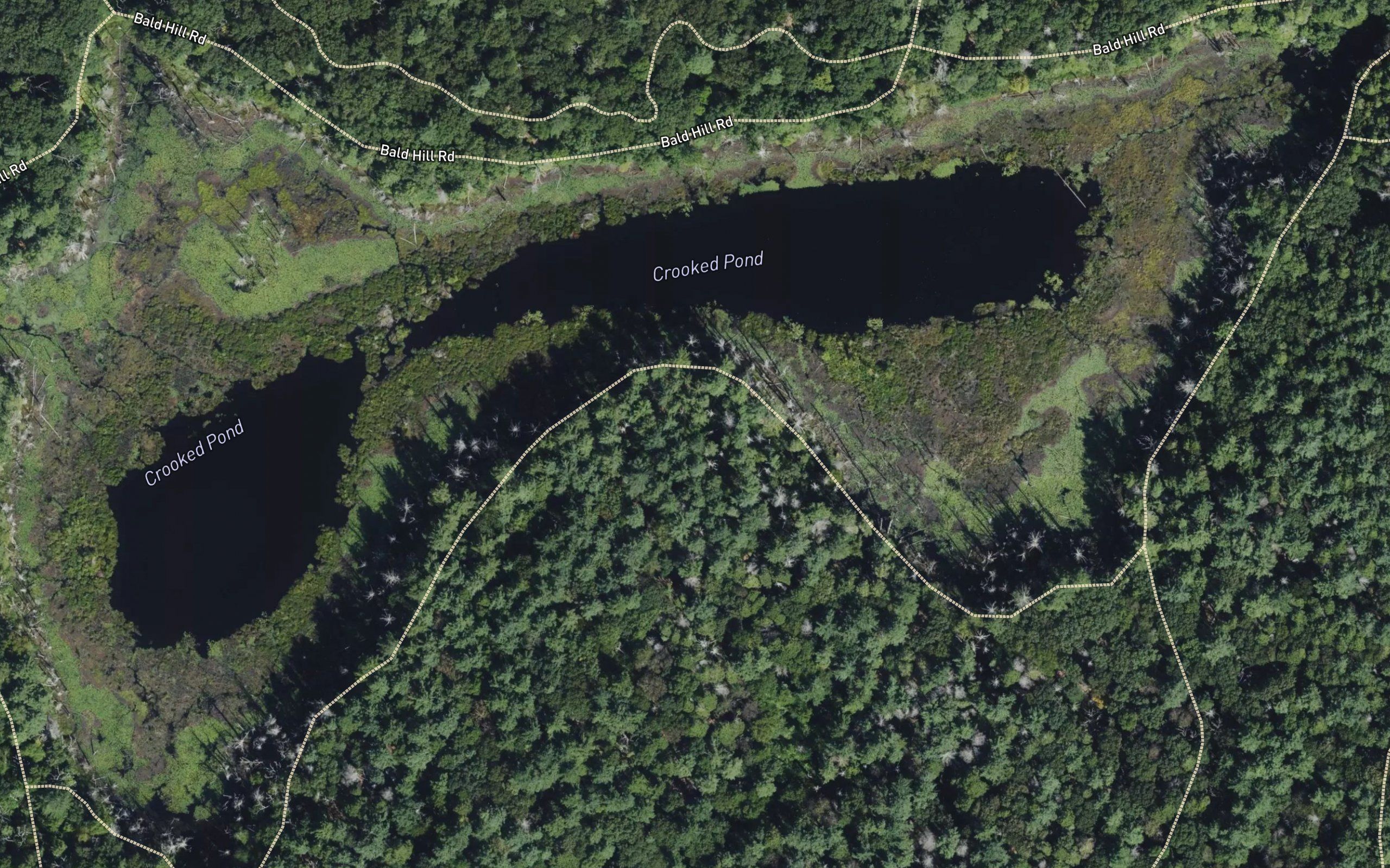 Crooked Pond