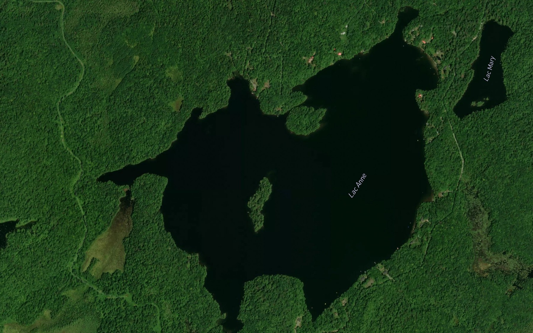 Satellite map of the Lac Anne
