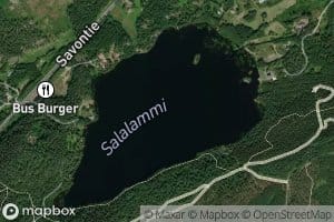 Salalammi