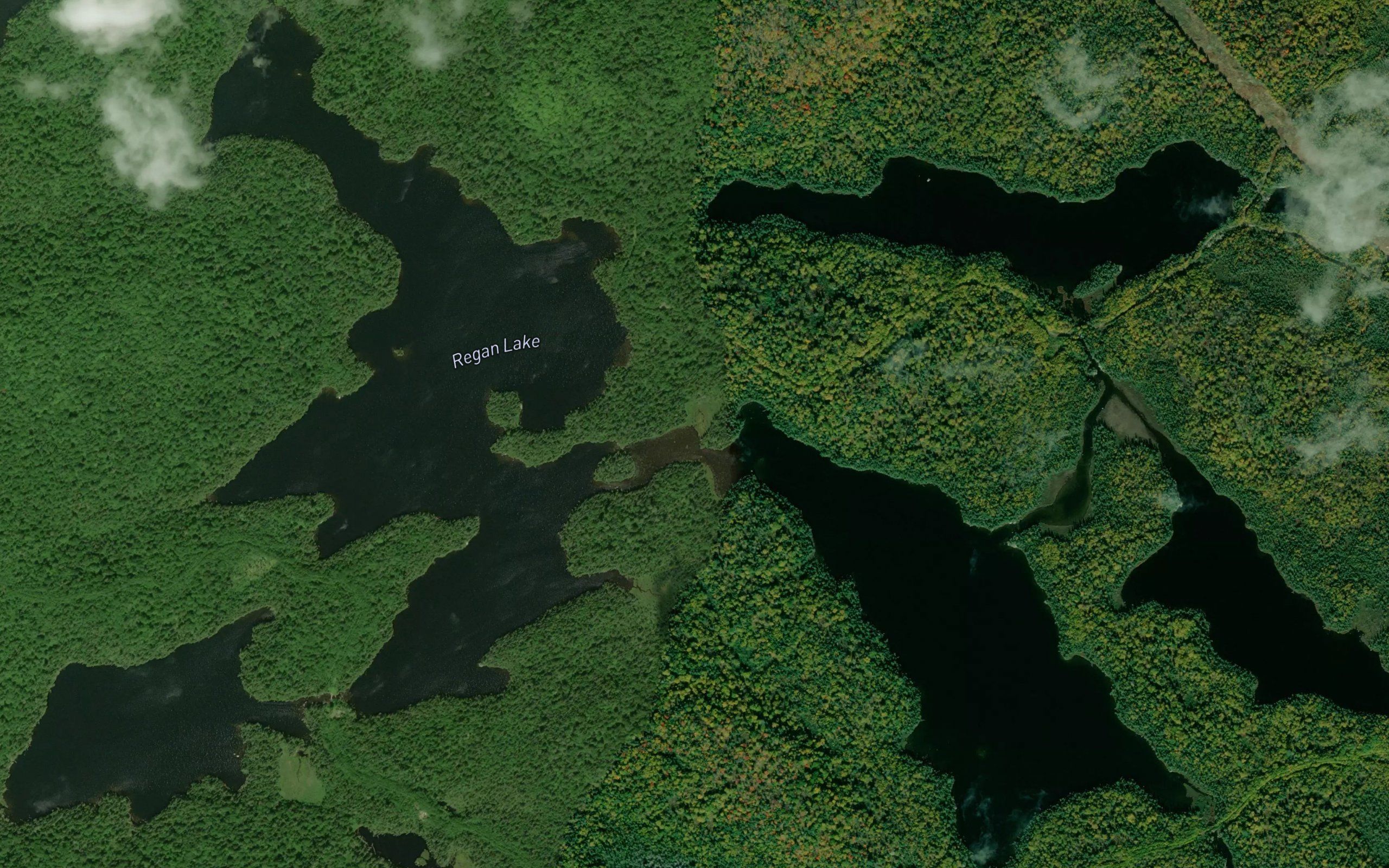 Regan Lake