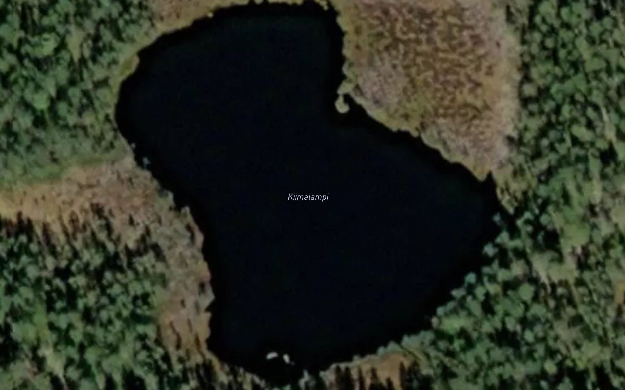 Kiimalammit
