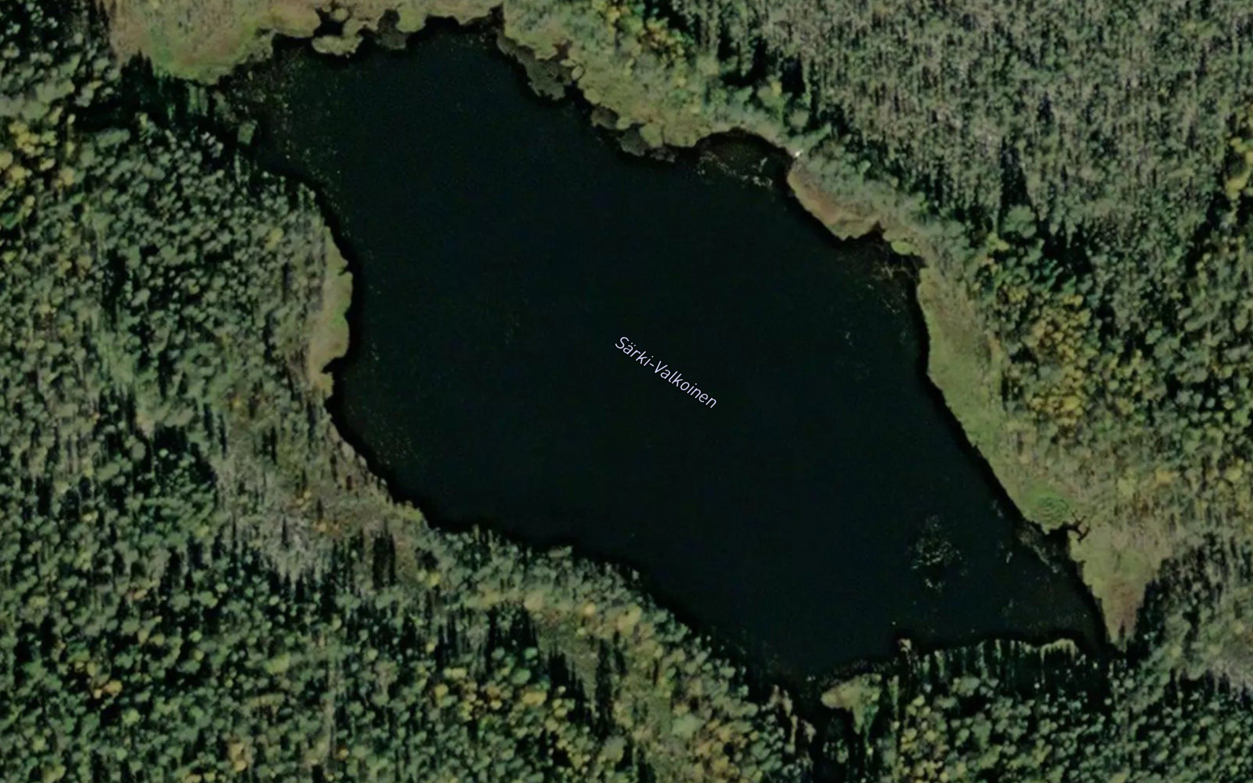 Sarki-Valkoinen