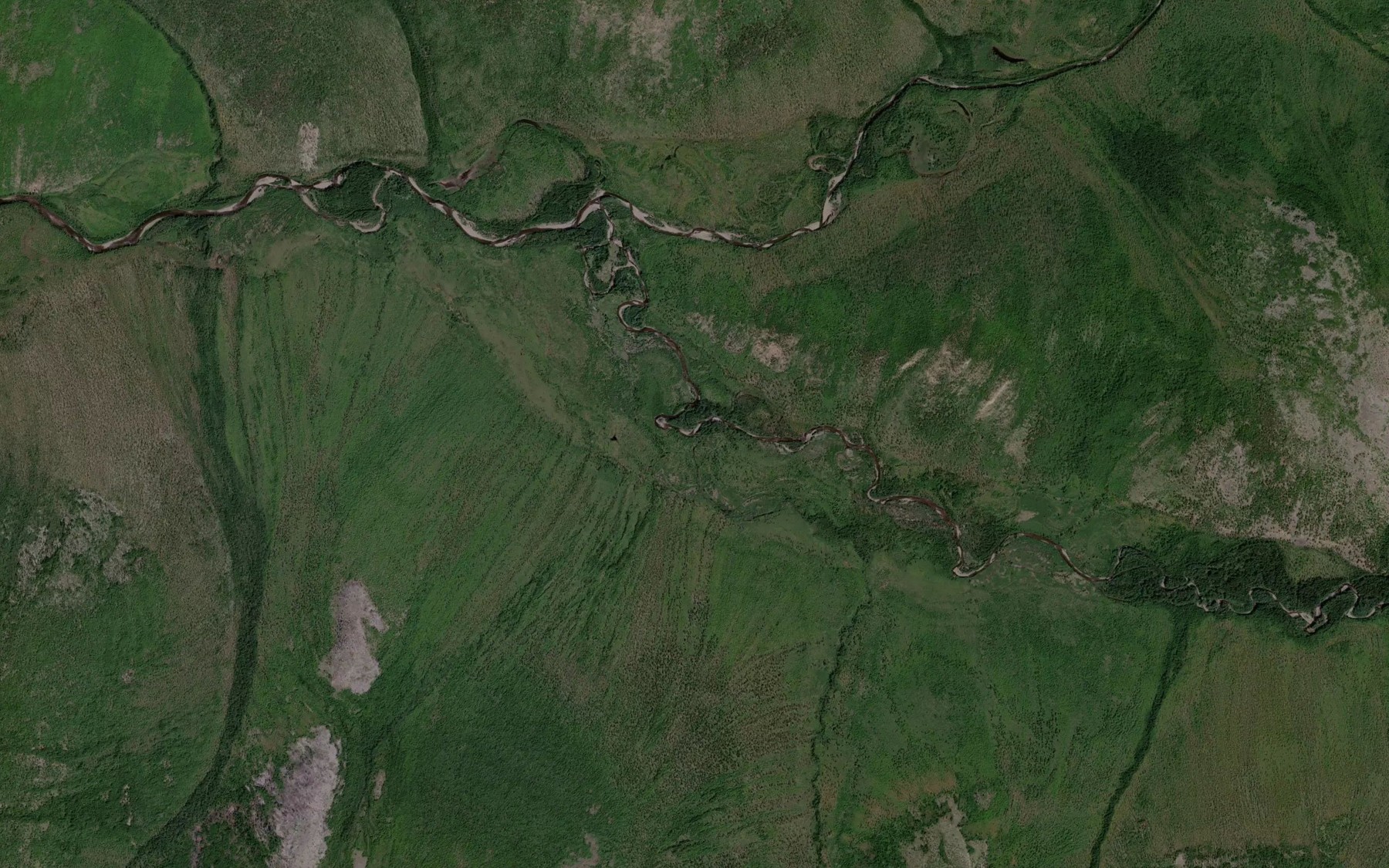 Satellite map of the Lesnoy