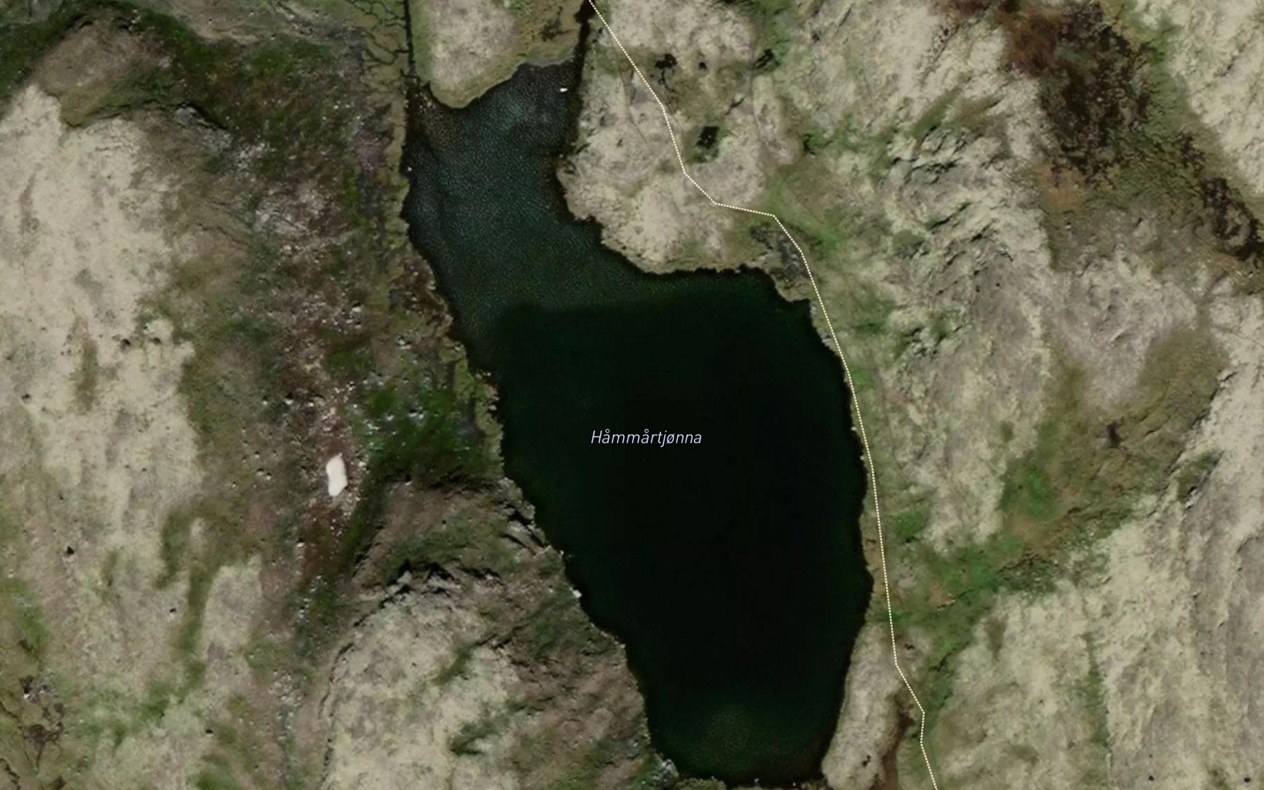 Hammartjorna