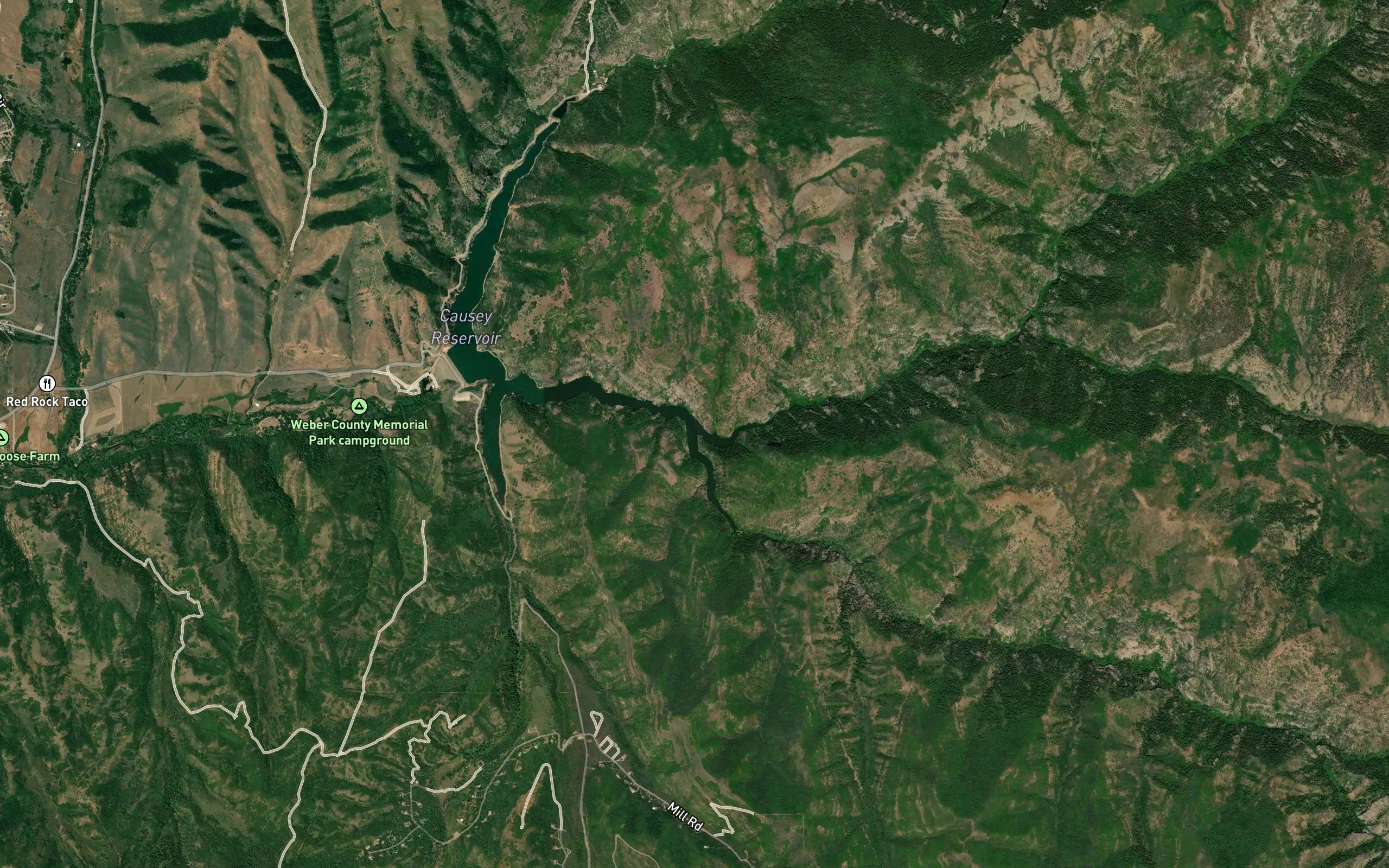 Left Fork South Fork Ogden River