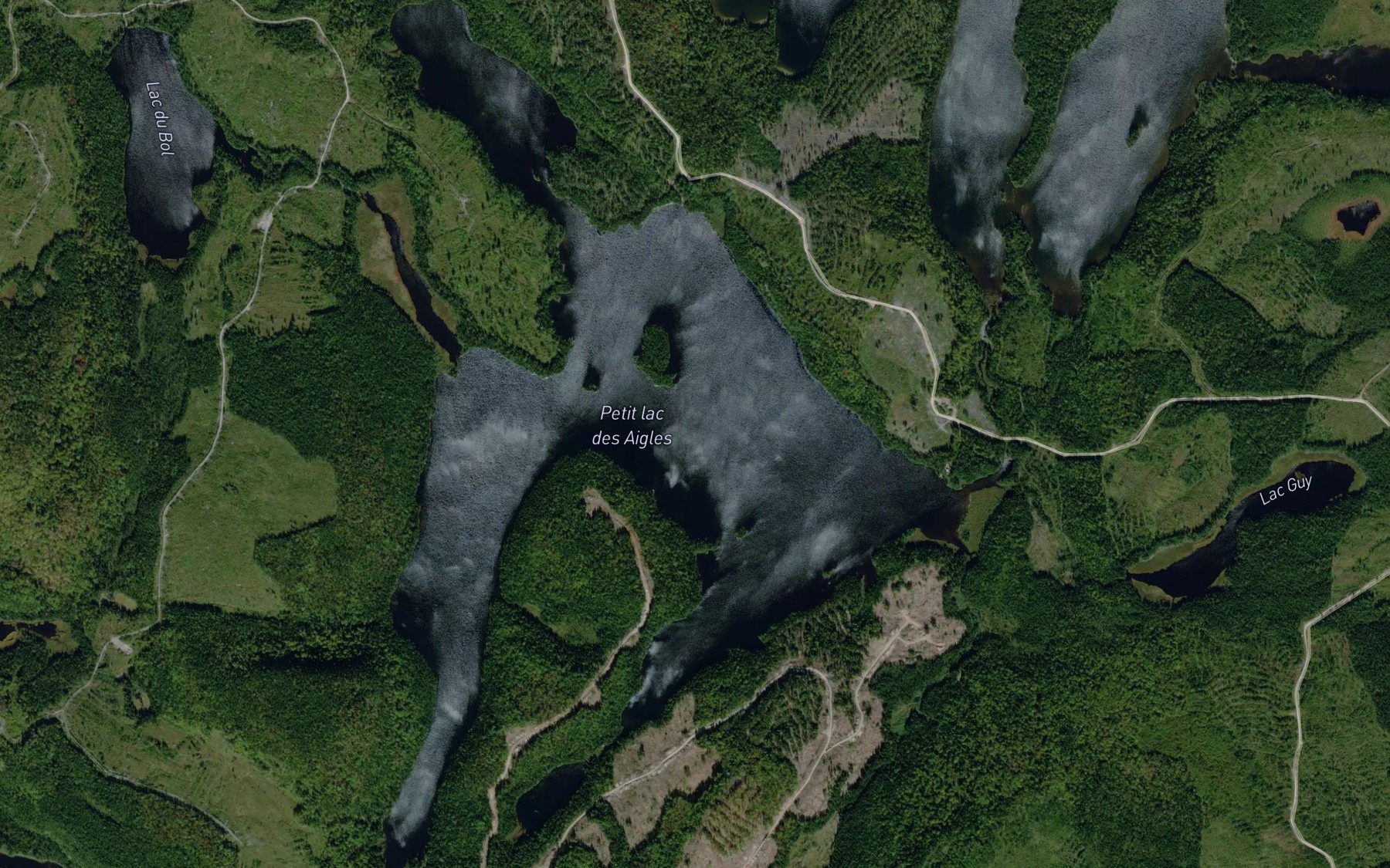 Satellite map of the Petit lac des Aigles