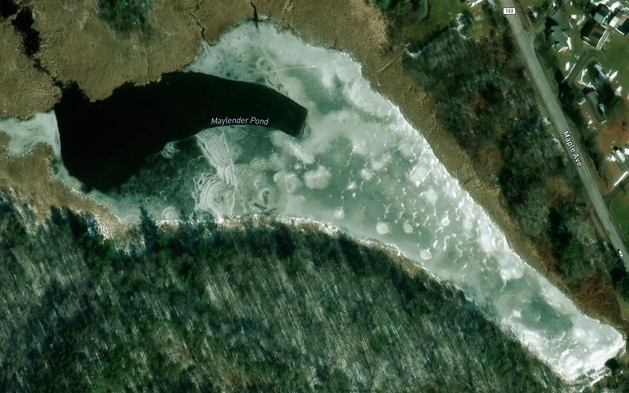 Maylender Pond