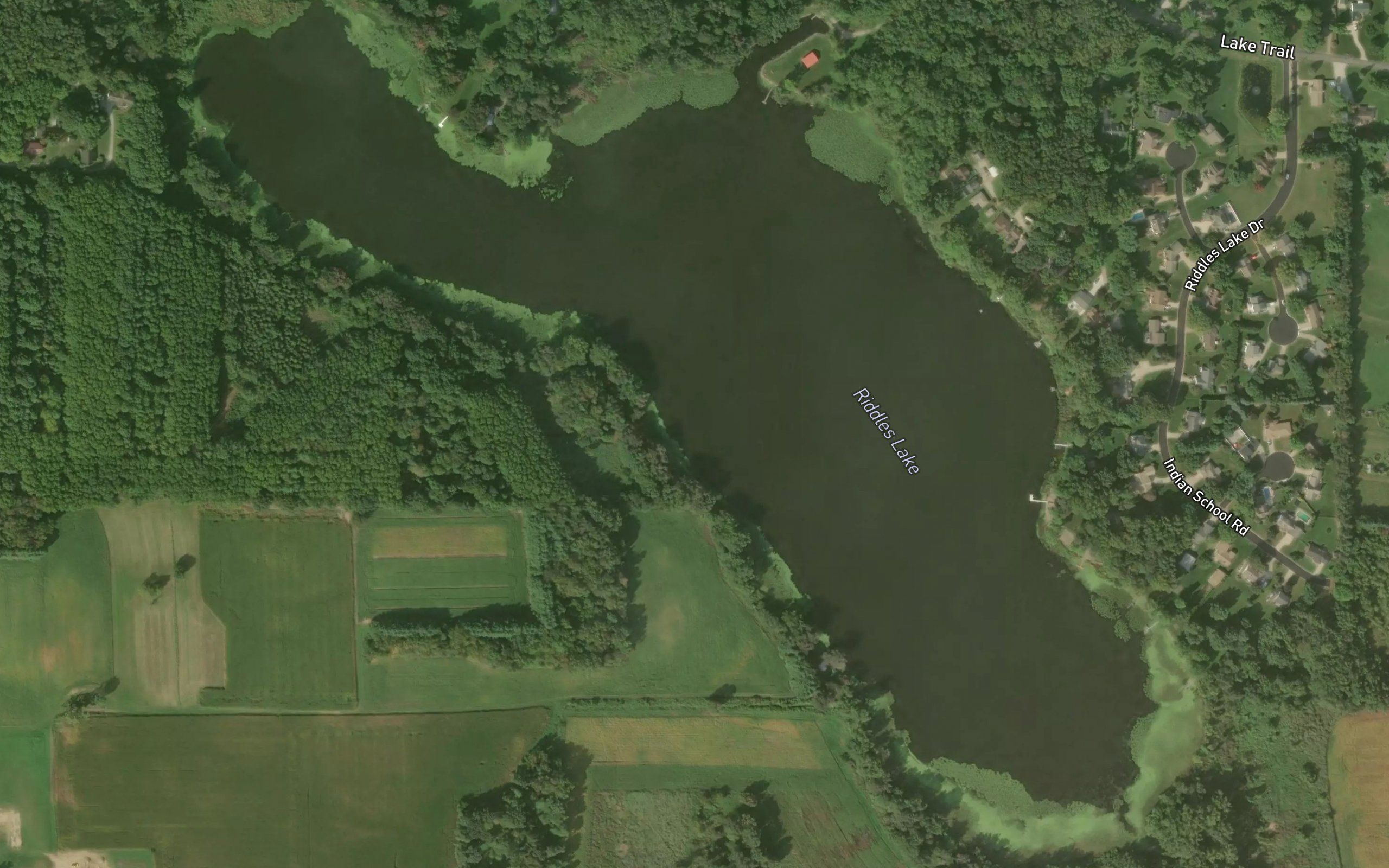Riddles Lake