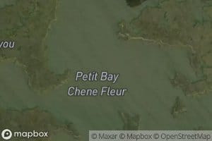 Petit Bay Chene Fleur