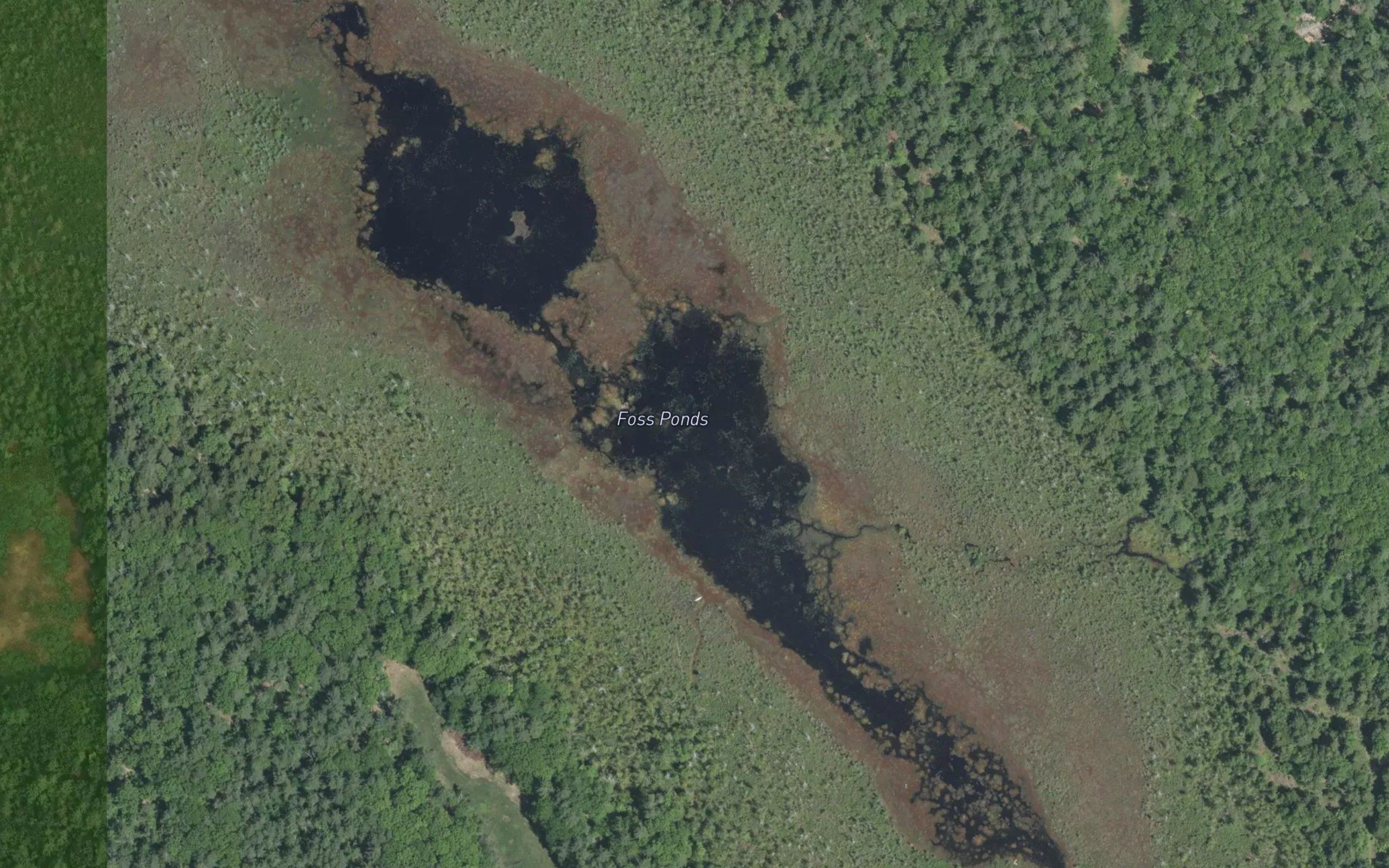Foss Ponds