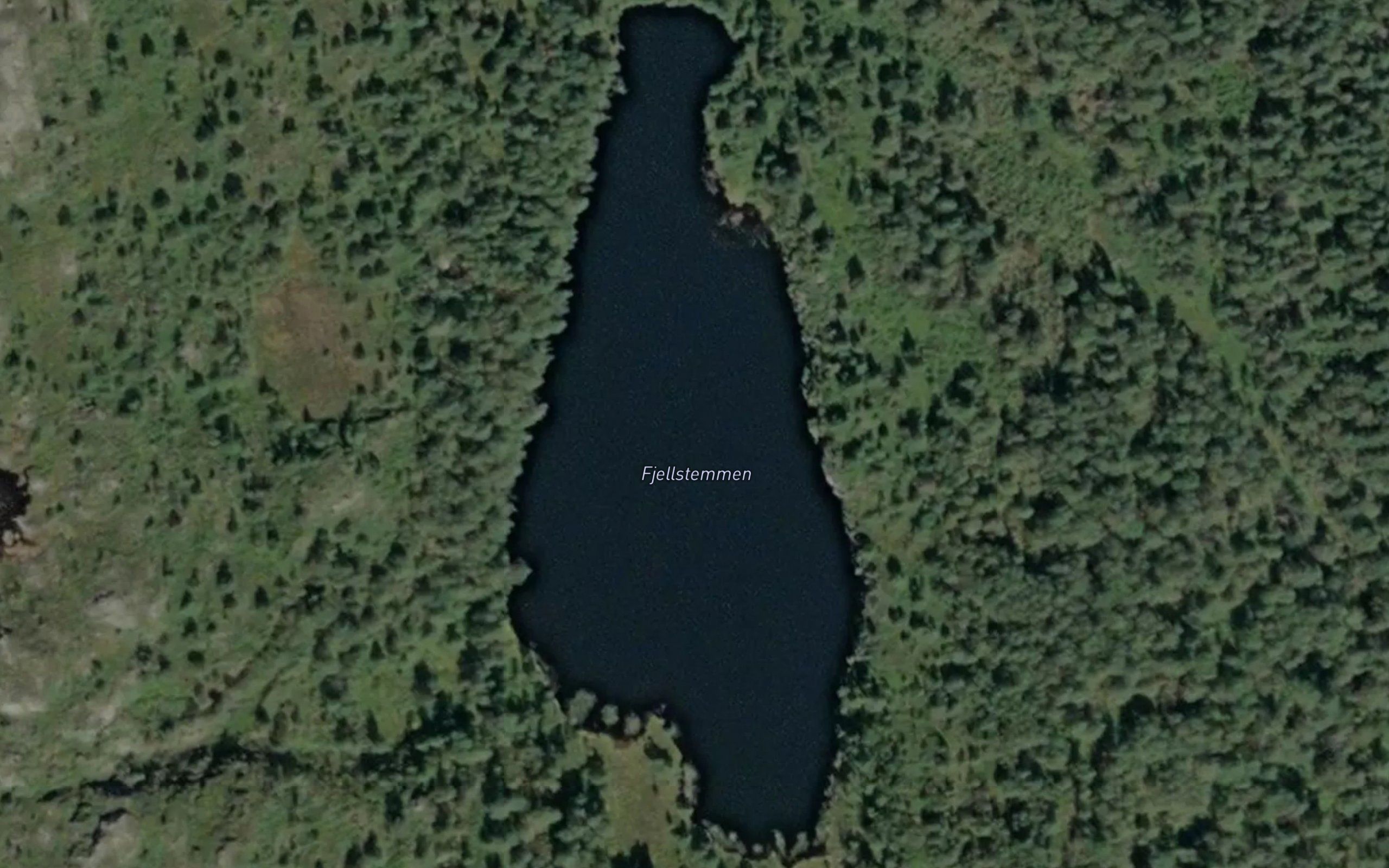 Fjellstemmen