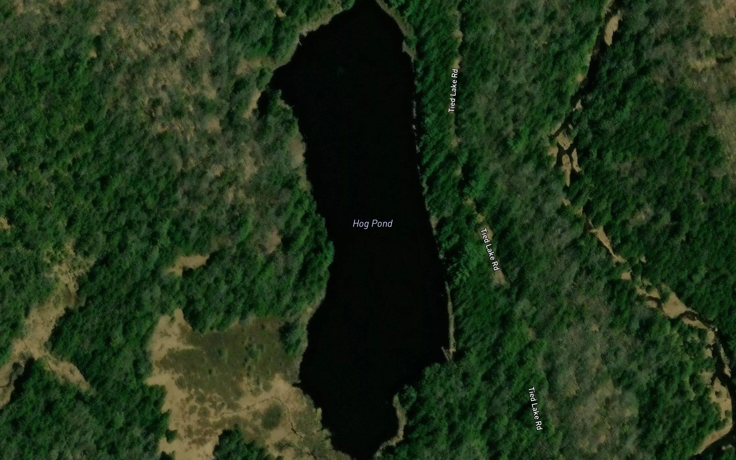 Hog Pond