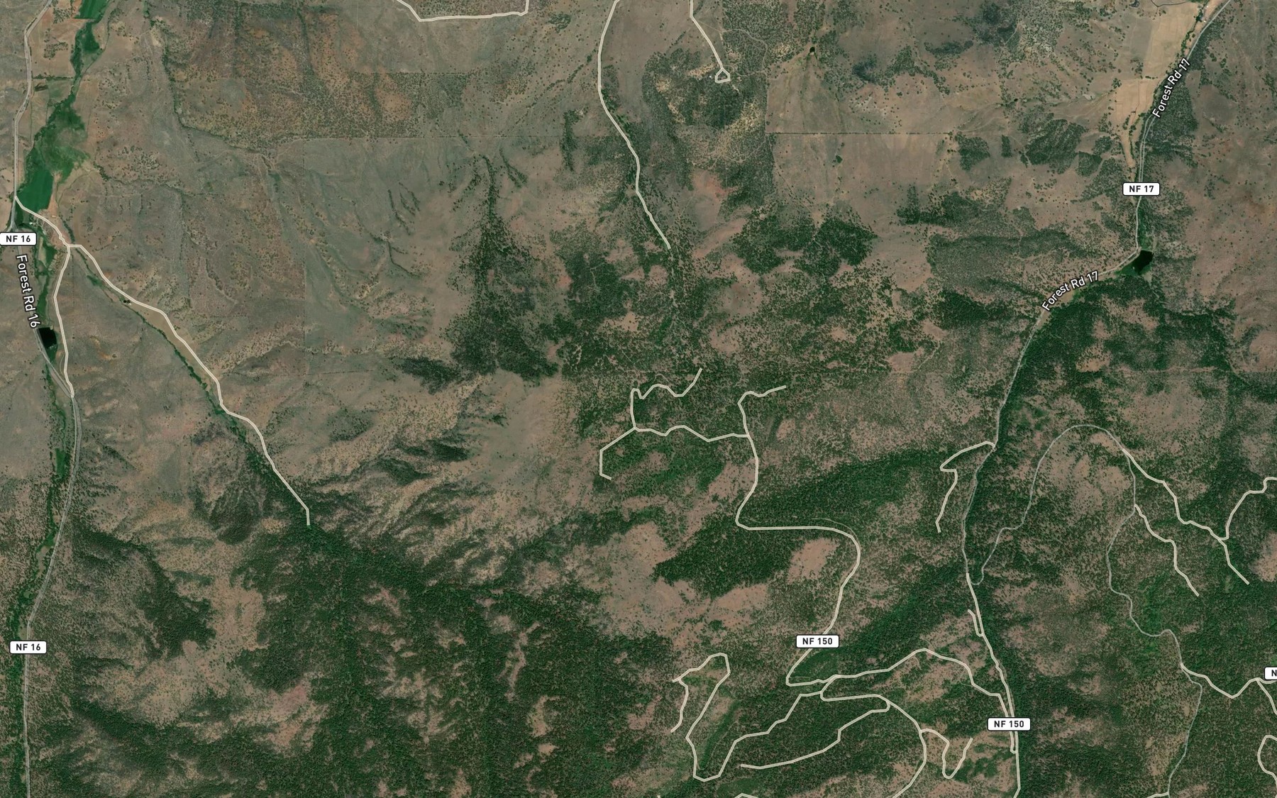 Satellite map of the Mule Deer Spring