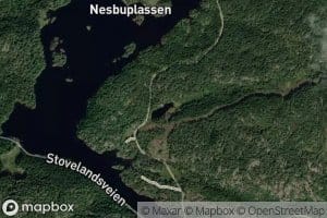 Raunedaldtjonn